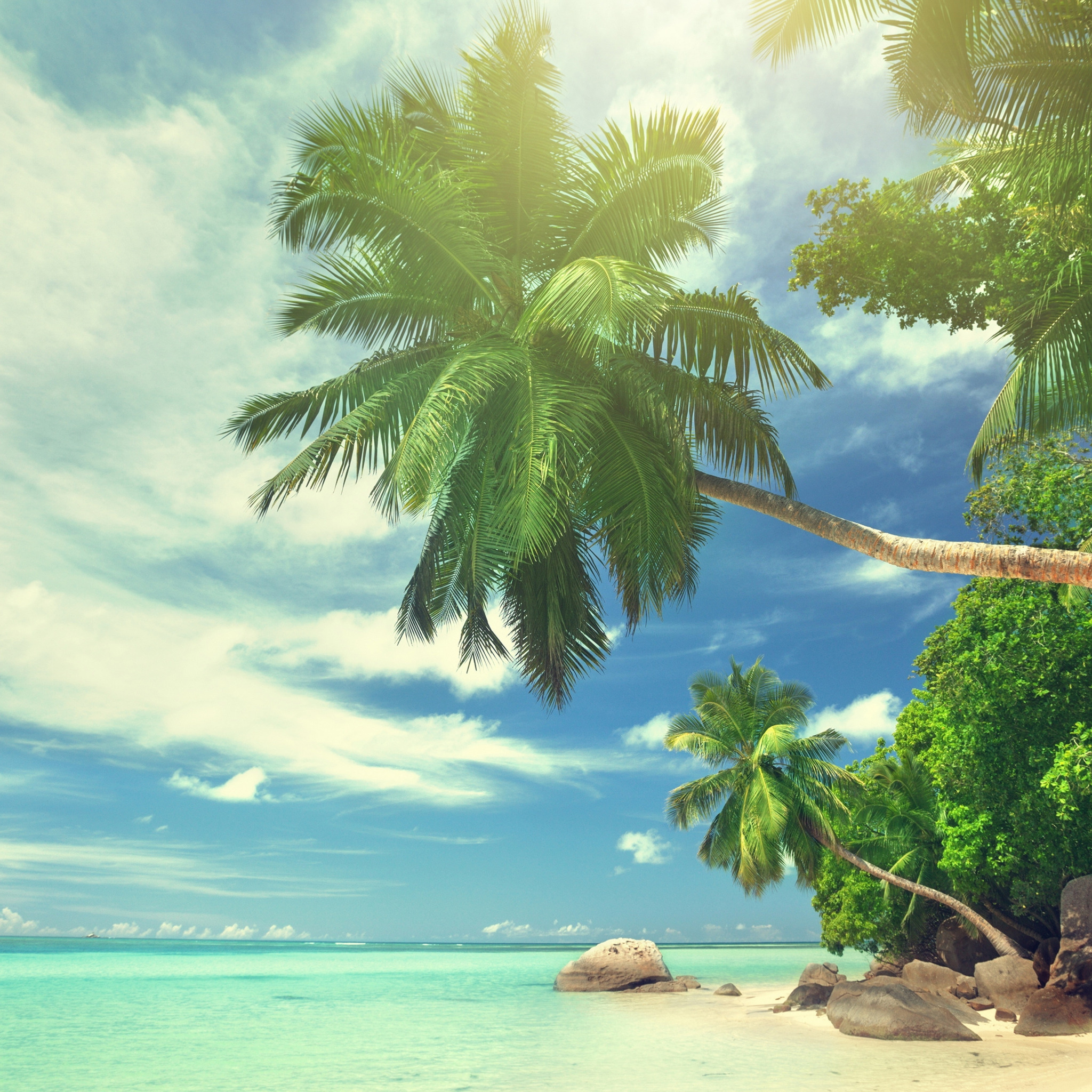 Download wallpaper beach, summer, the sky, clouds, nature, tropics ...