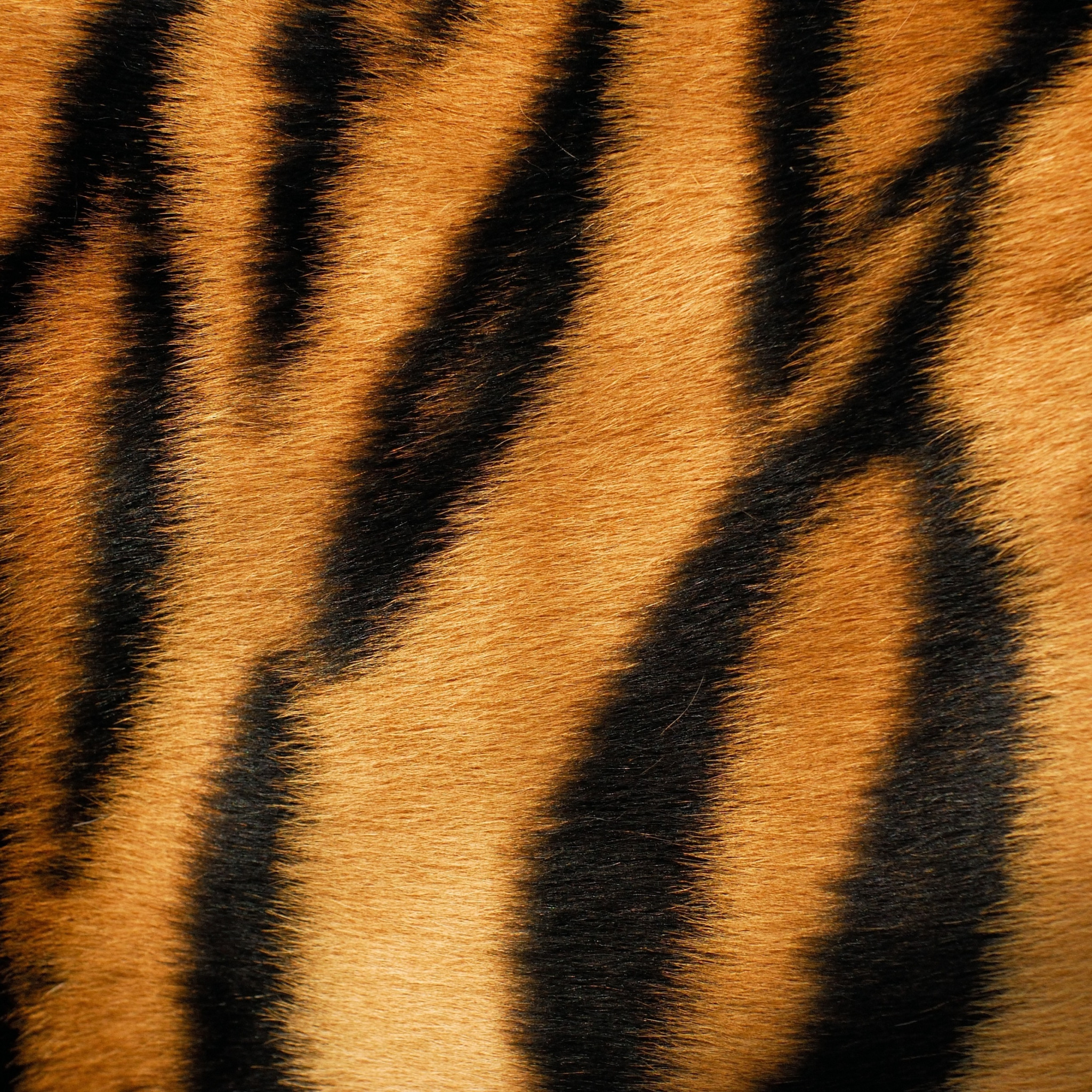 Download wallpaper tiger, strip, wool, fur, section textures in ...