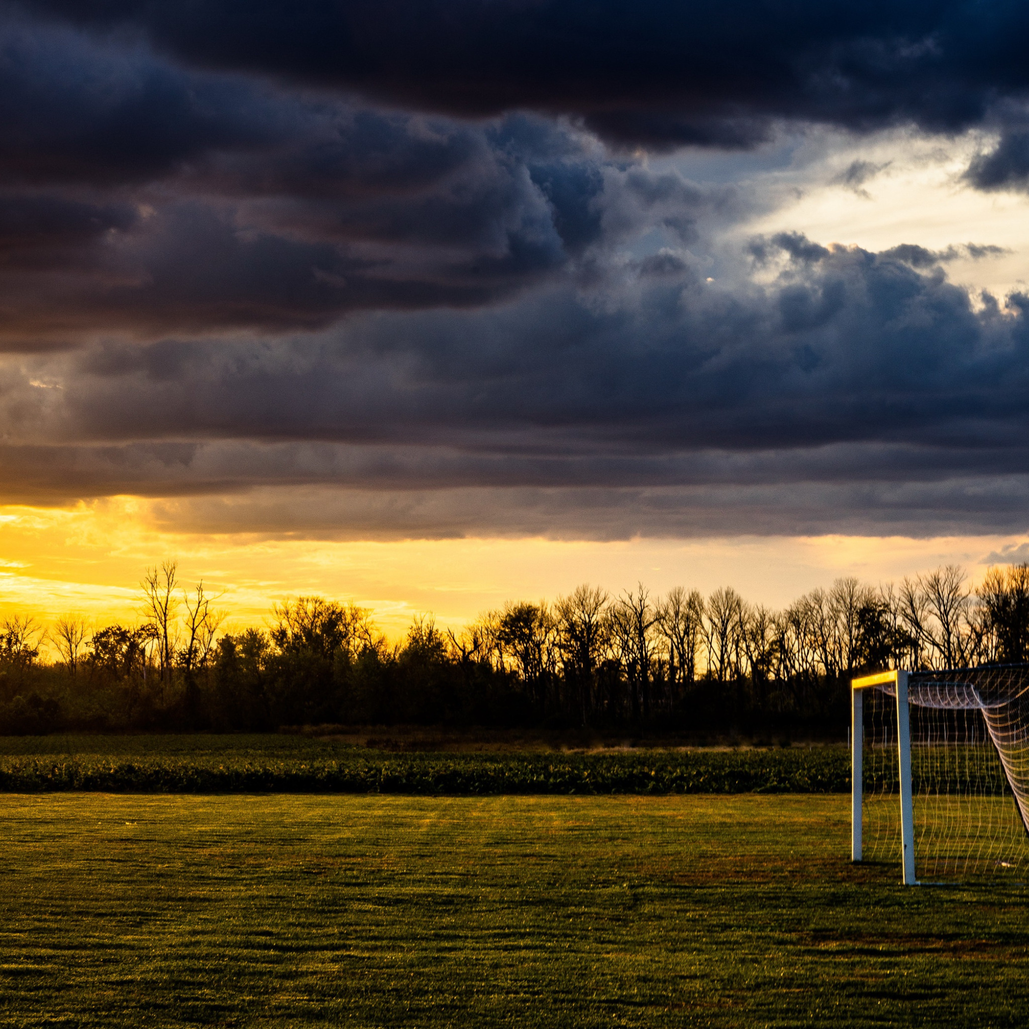 Sports fields