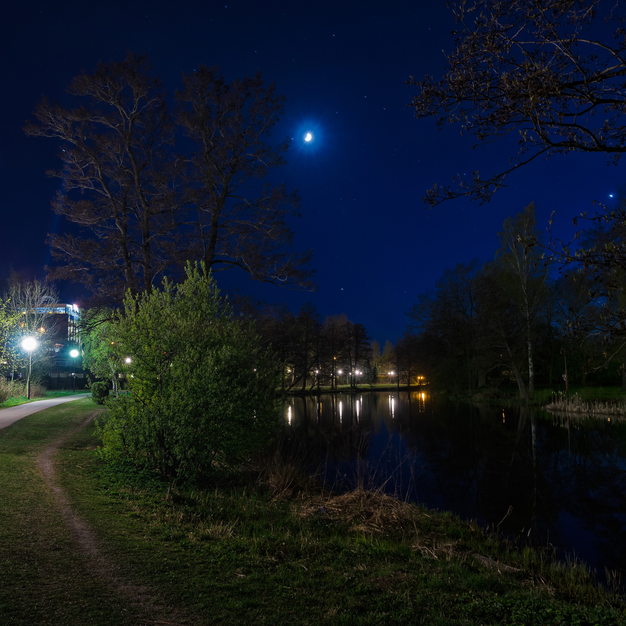 Ночное таем. Кузьминский парк ночью. Саровский парк вечером. Ночной пейзаж. Природа ночью.