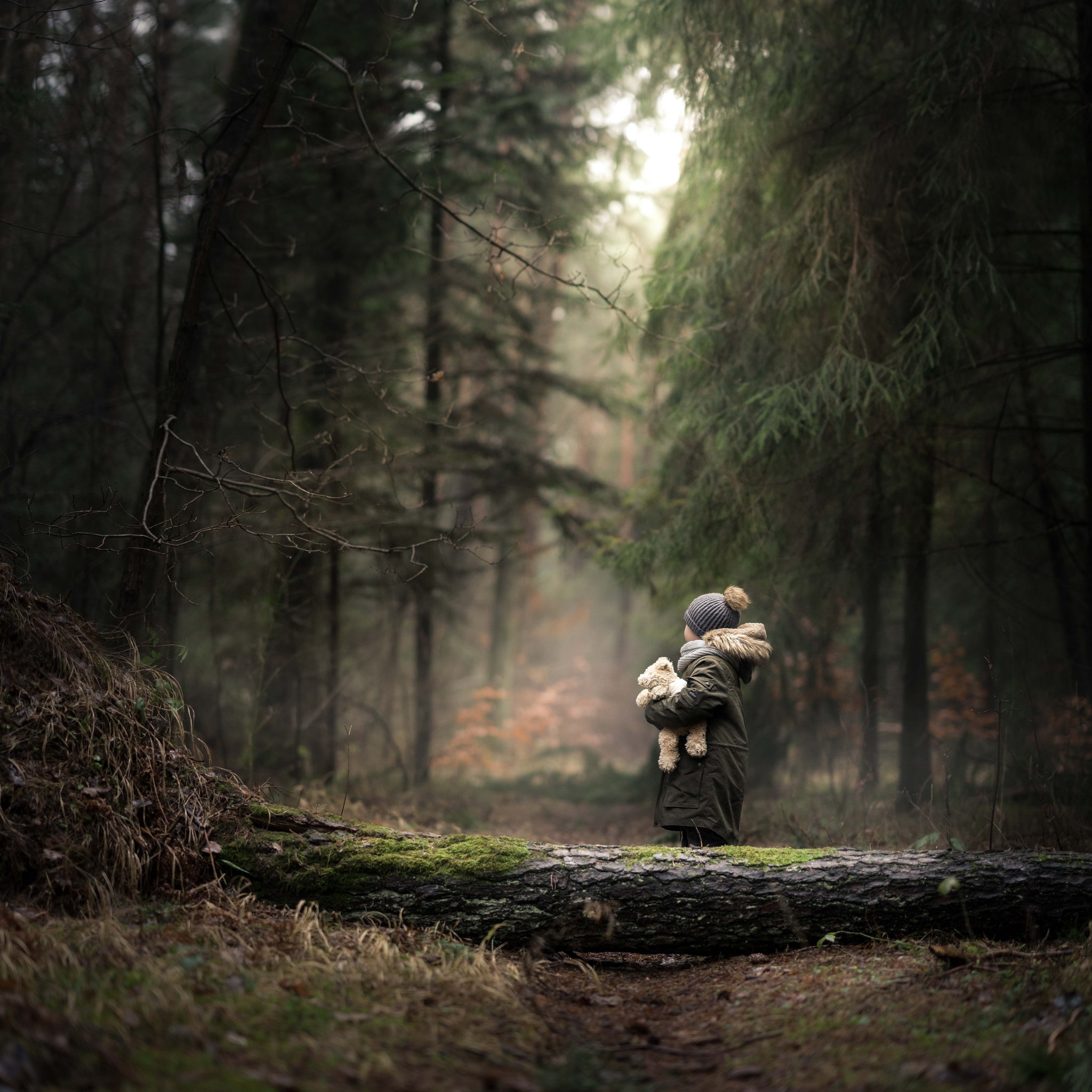 Трогательный лес. Фотограф в лесу. Лес силуэт. Мальчик в лесу.