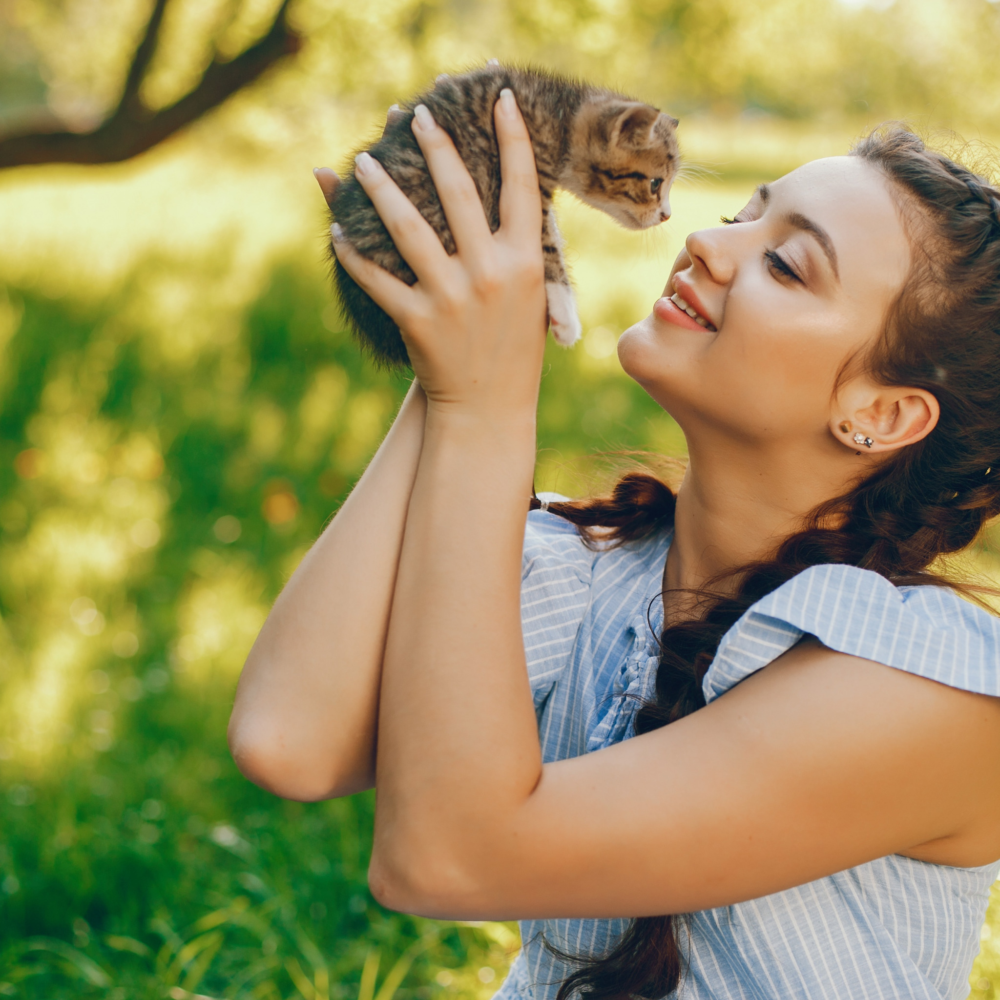 Young petting. Девочка с котятами. Девушка с котенком волонтер. Девушка с котенком радость и счастье. Девочка с котенком фото.