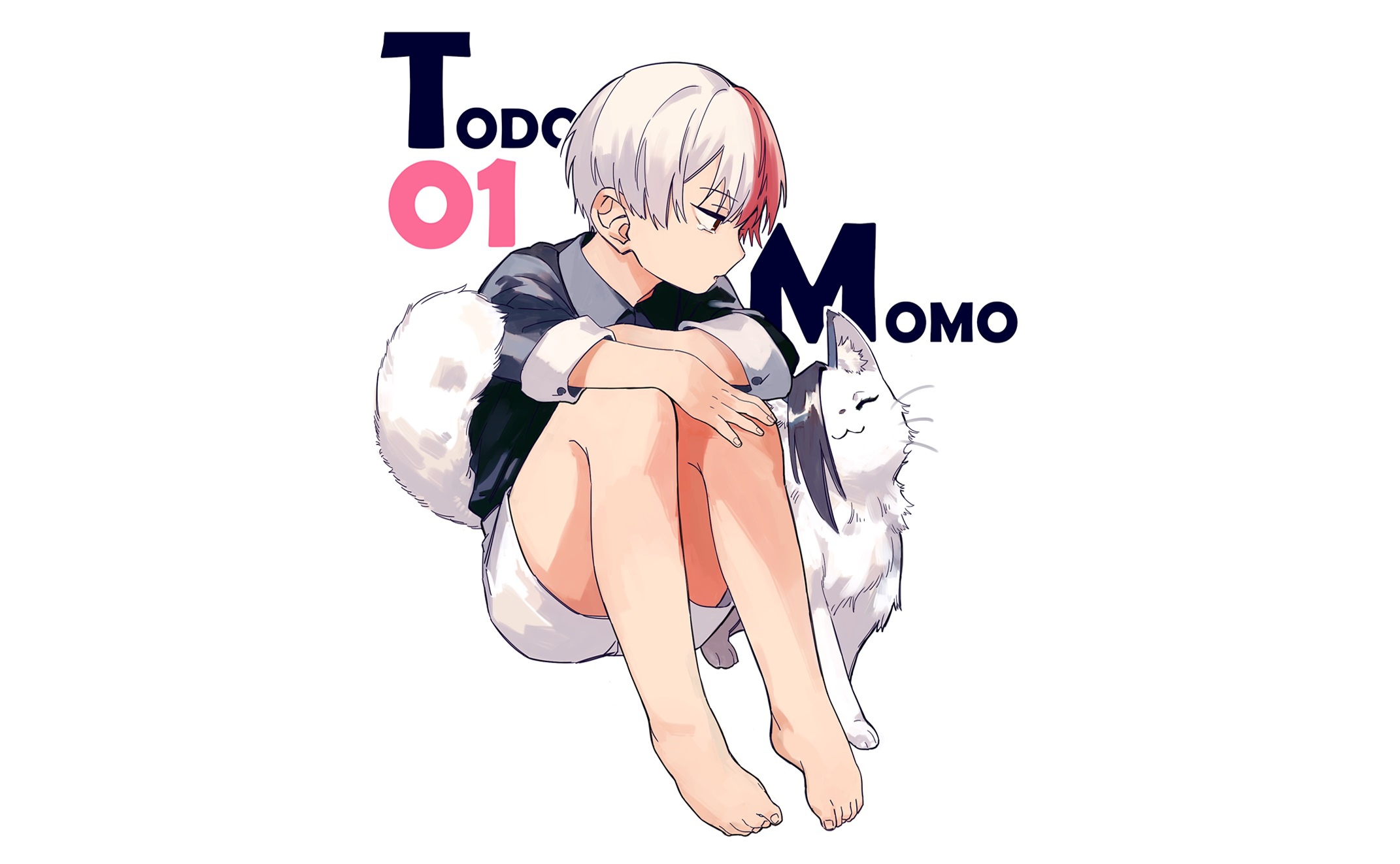 Wallpaper cat, boy, My Hero Academia, Boku No Hero Academy, Todoroki Shoto, My  Hero Academy, Airoso Momo for mobile and desktop, section сёнэн, resolution  2142x1322 - download