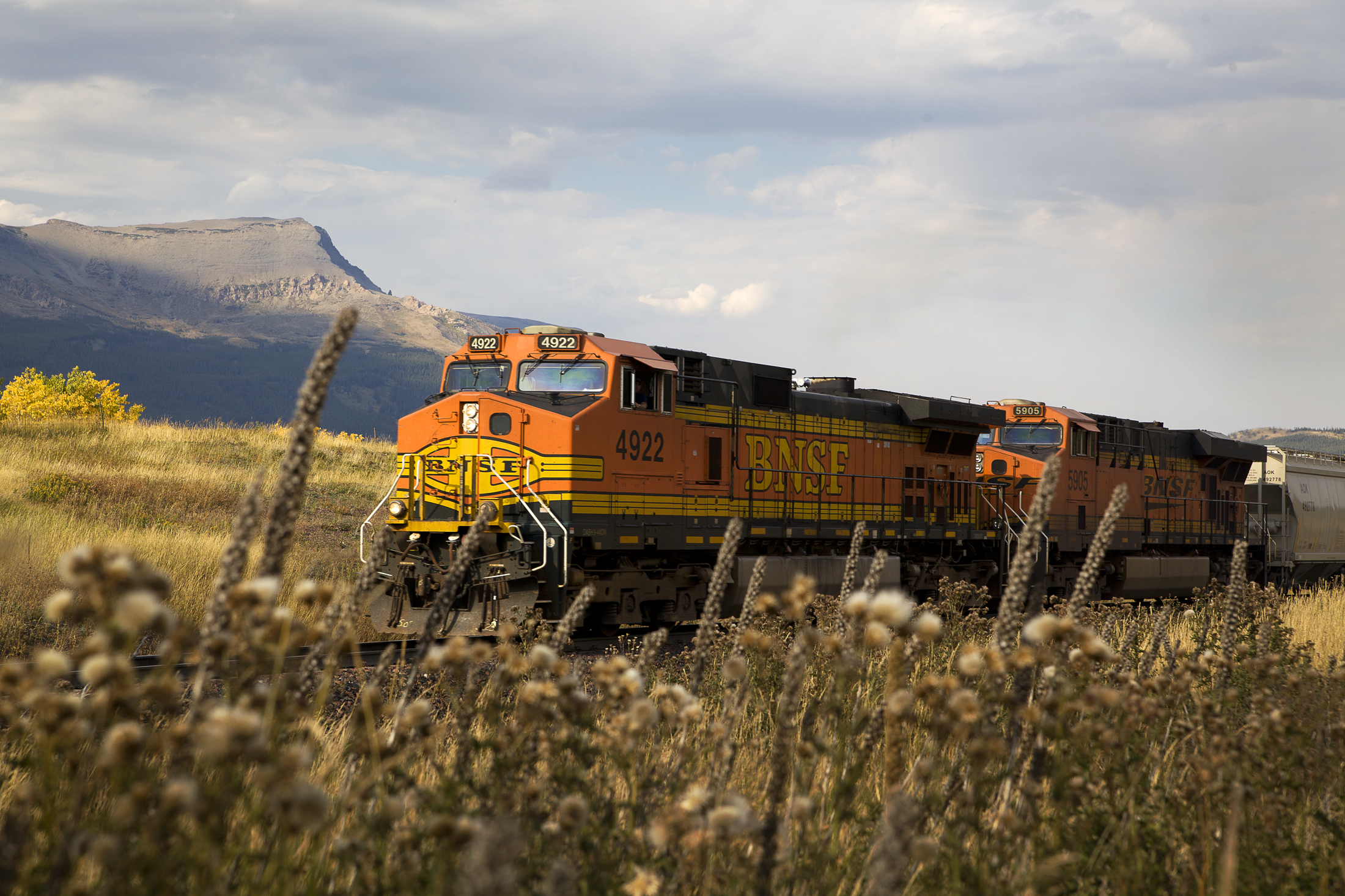 Train car. Цинхай-тибетская железная дорога. Тепловоз природа. Локомотивы. Поезд вагон Локомотив.