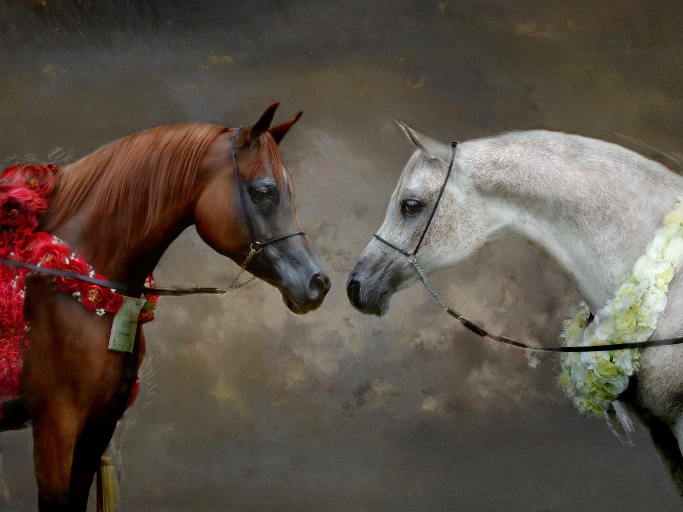 Download Wallpaper White, Look, Flowers, Grey, Background, Horses ...