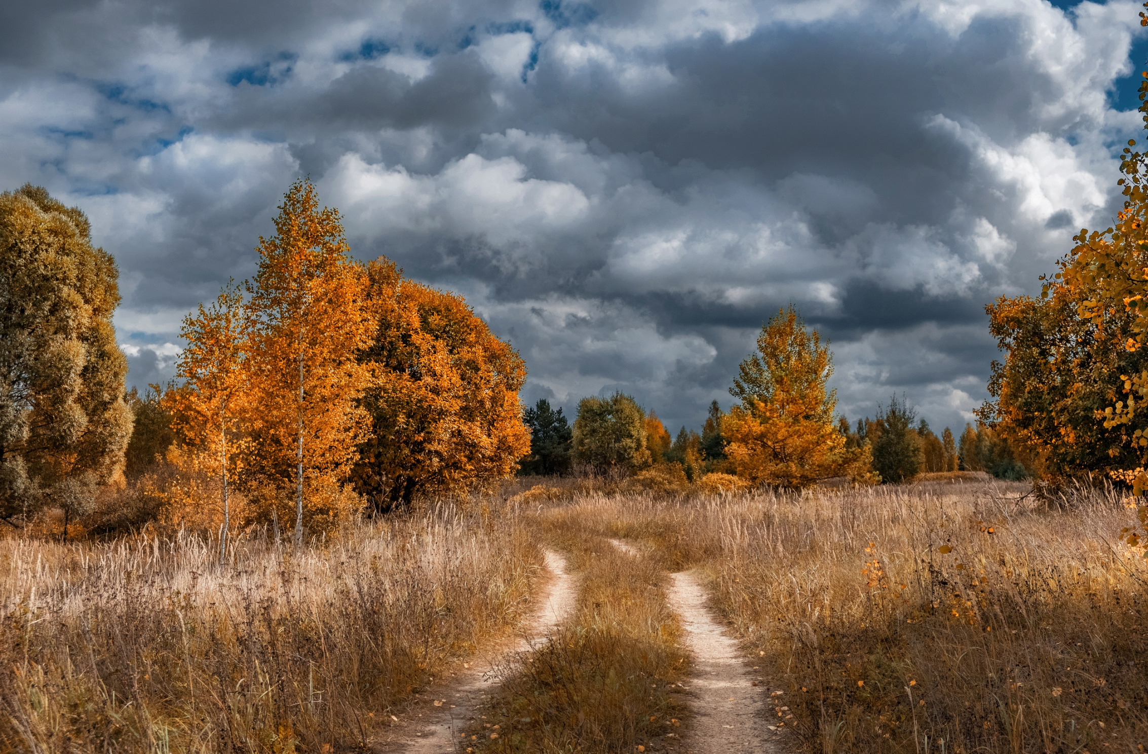 Хмурое Небо Картинки Осень