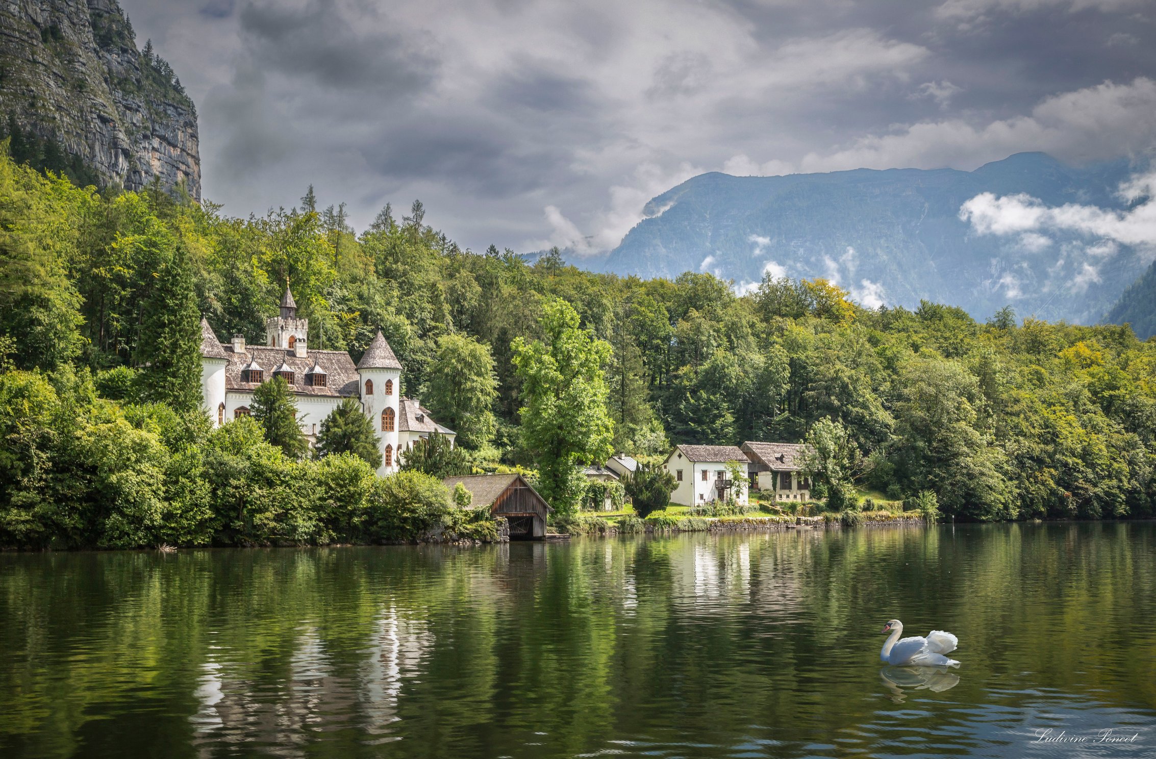 Download wallpaper forest, lake, castle, rocks, bird, Austria, swans ...