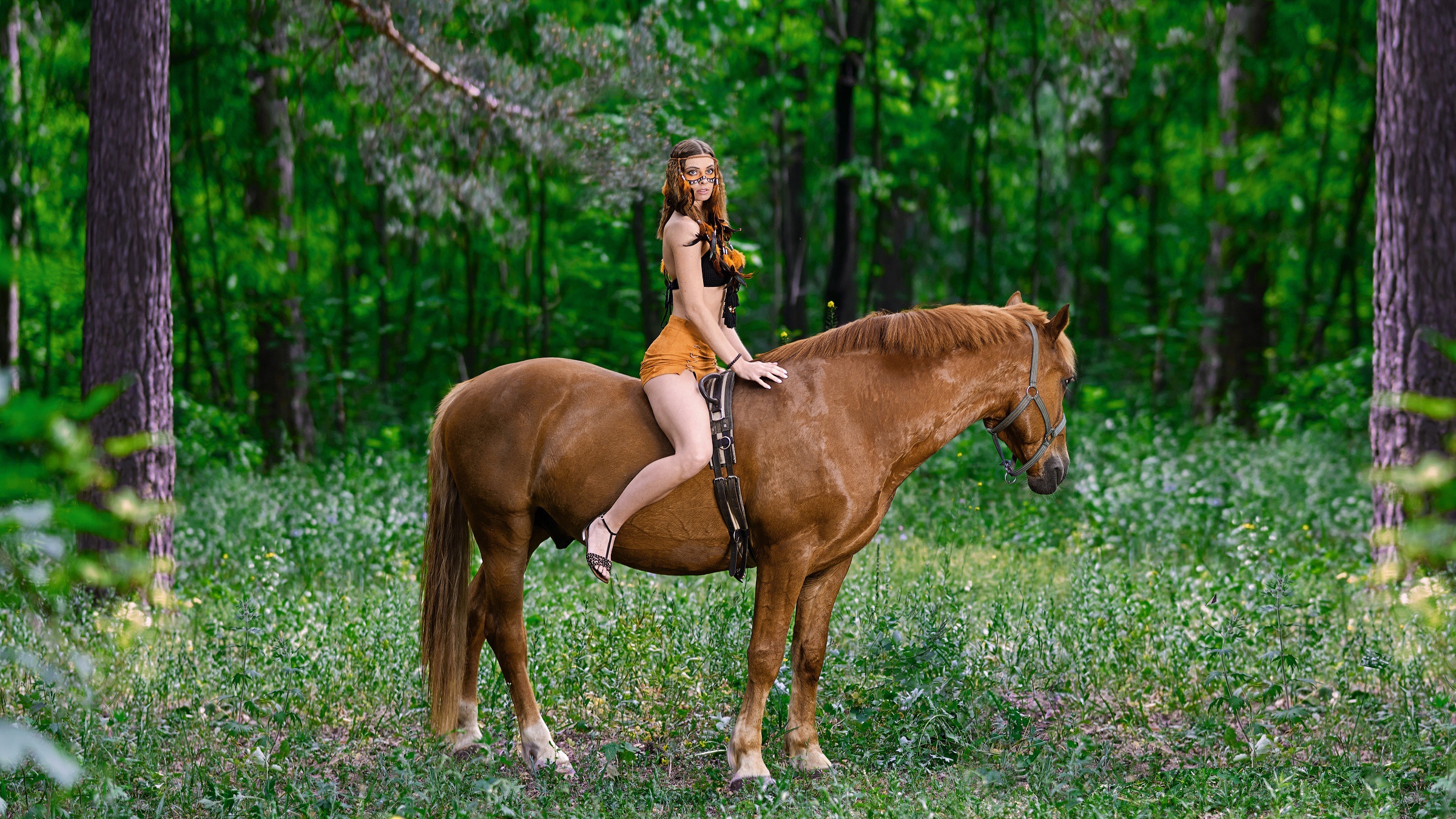 Girls Riding Horse Cock