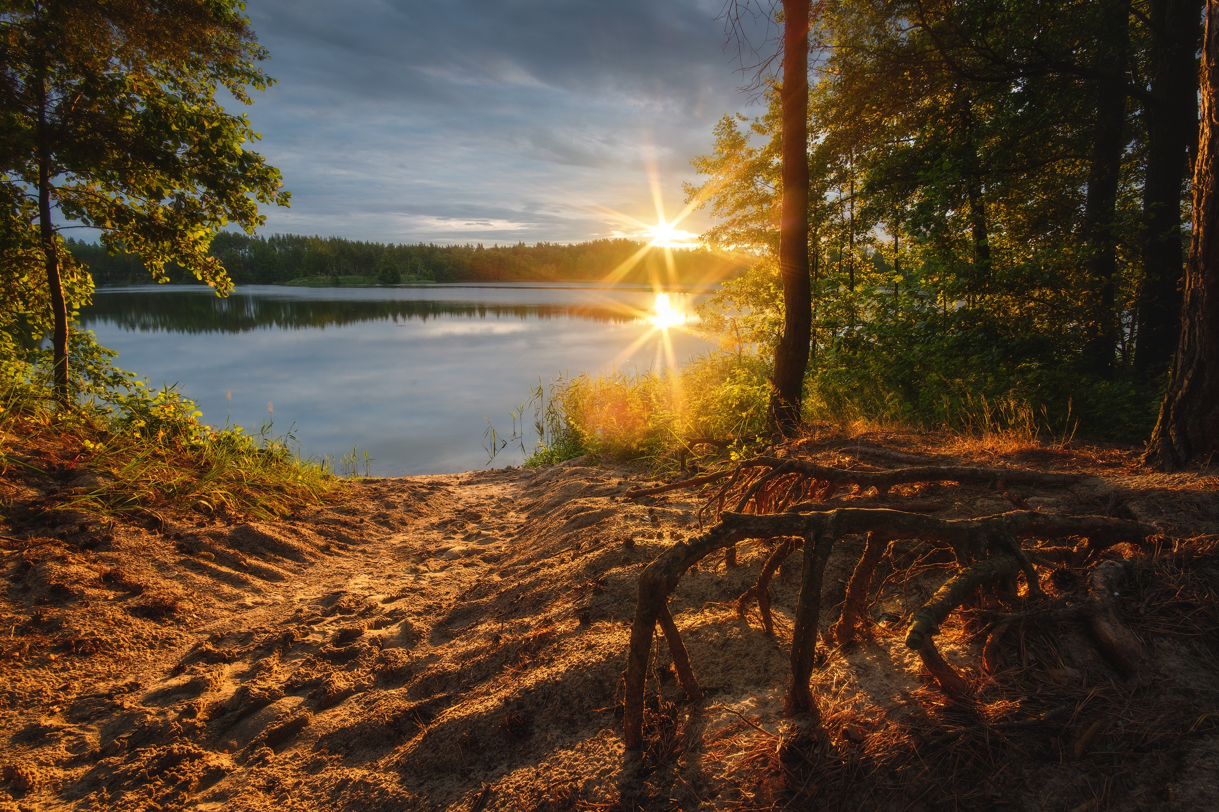 Фото Утро Берег