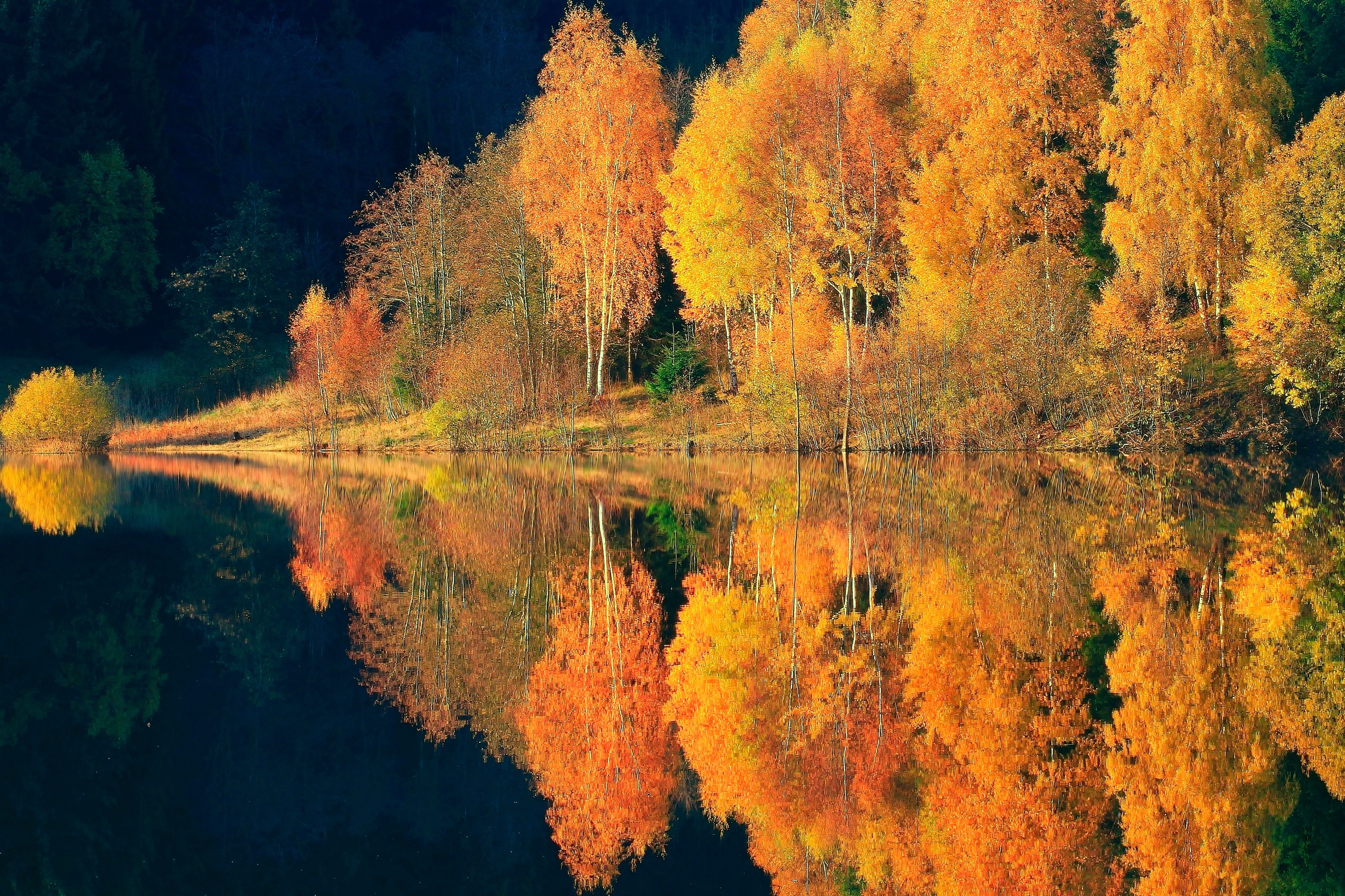 Отражение Осени В Воде Фото