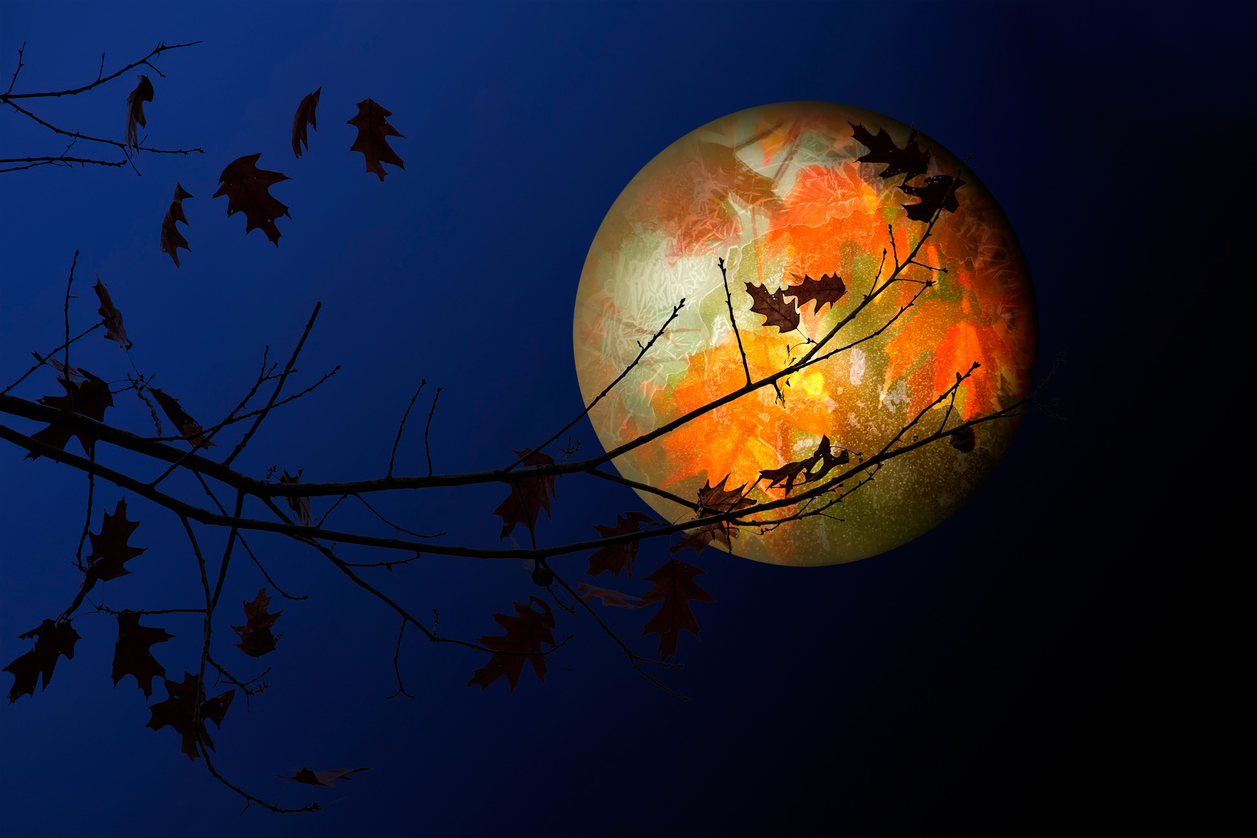 Бывают осенние ночи. Осенняя Луна. Осень ночь. Осень ночь Луна. Красивая осенняя ночь.