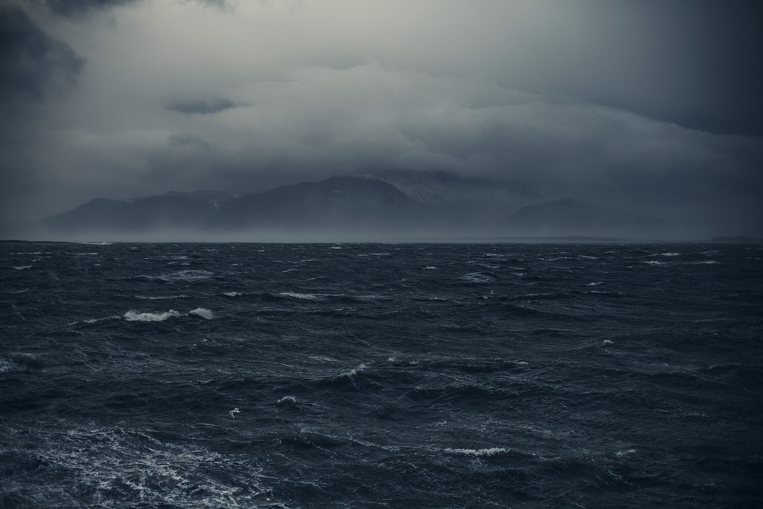 Темный шторм. Туман в Баренцевом море. Темное море. Пасмурное небо море. Мрачное море.