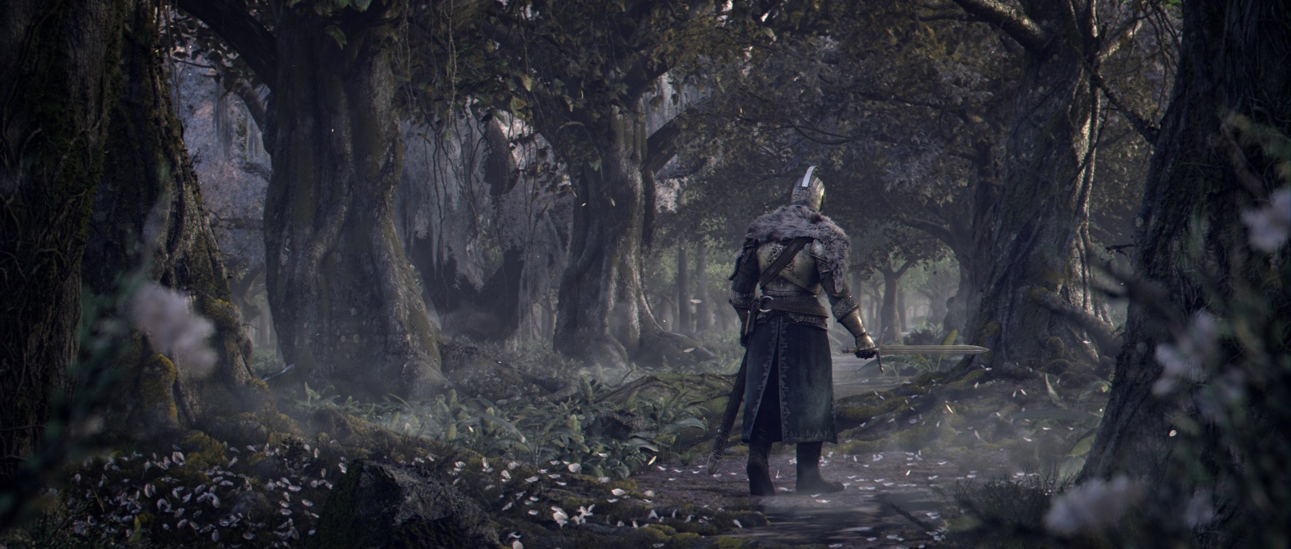 Не новая душа 2. Dark Souls 2 Faraam. Дарк соулс 2 трейлер. Dark Souls 2 Bearer of the Curse. Бог Фараам Dark Souls.