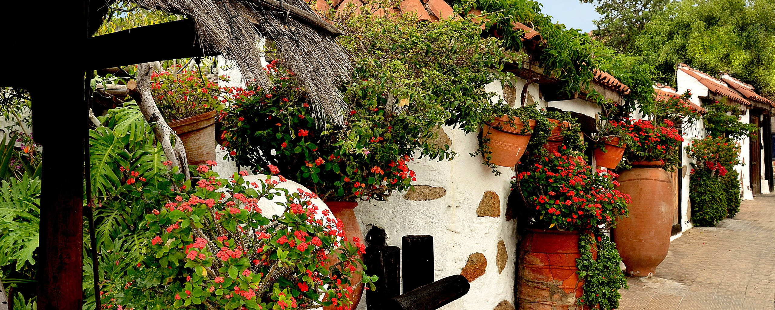 Street of flowers. Греция цветы в горшках. Деревня в цветочном горшке. Греция цветы в горшках на улице. Фотообои цветы в кашпо.