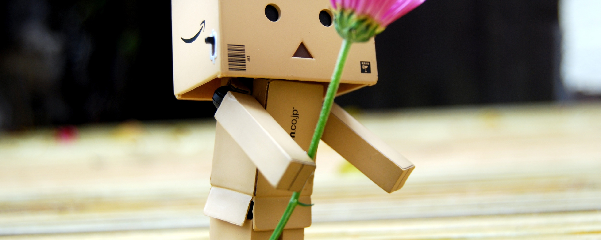 Misc Danbo HD Wallpaper