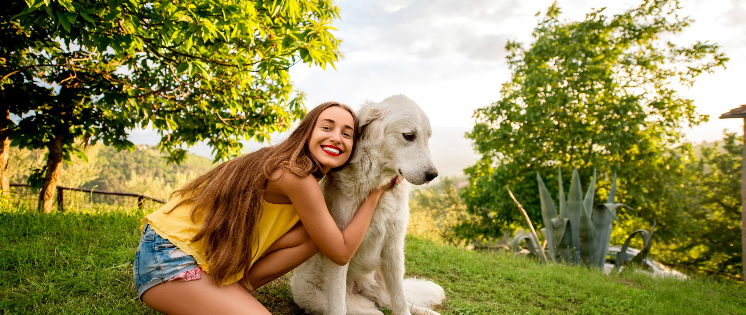 Download Wallpaper Greens Summer Grass Girl The Sun Trees Nature