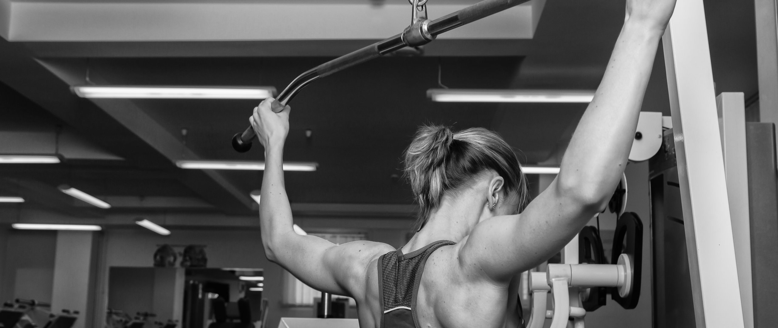 Download wallpaper back, workout, gym, bodybuilder, section sports in ...