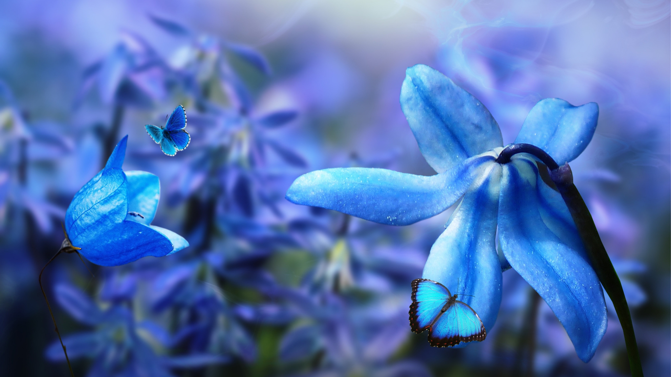 Download wallpaper butterfly, flowers, nature, collage, digital art ...