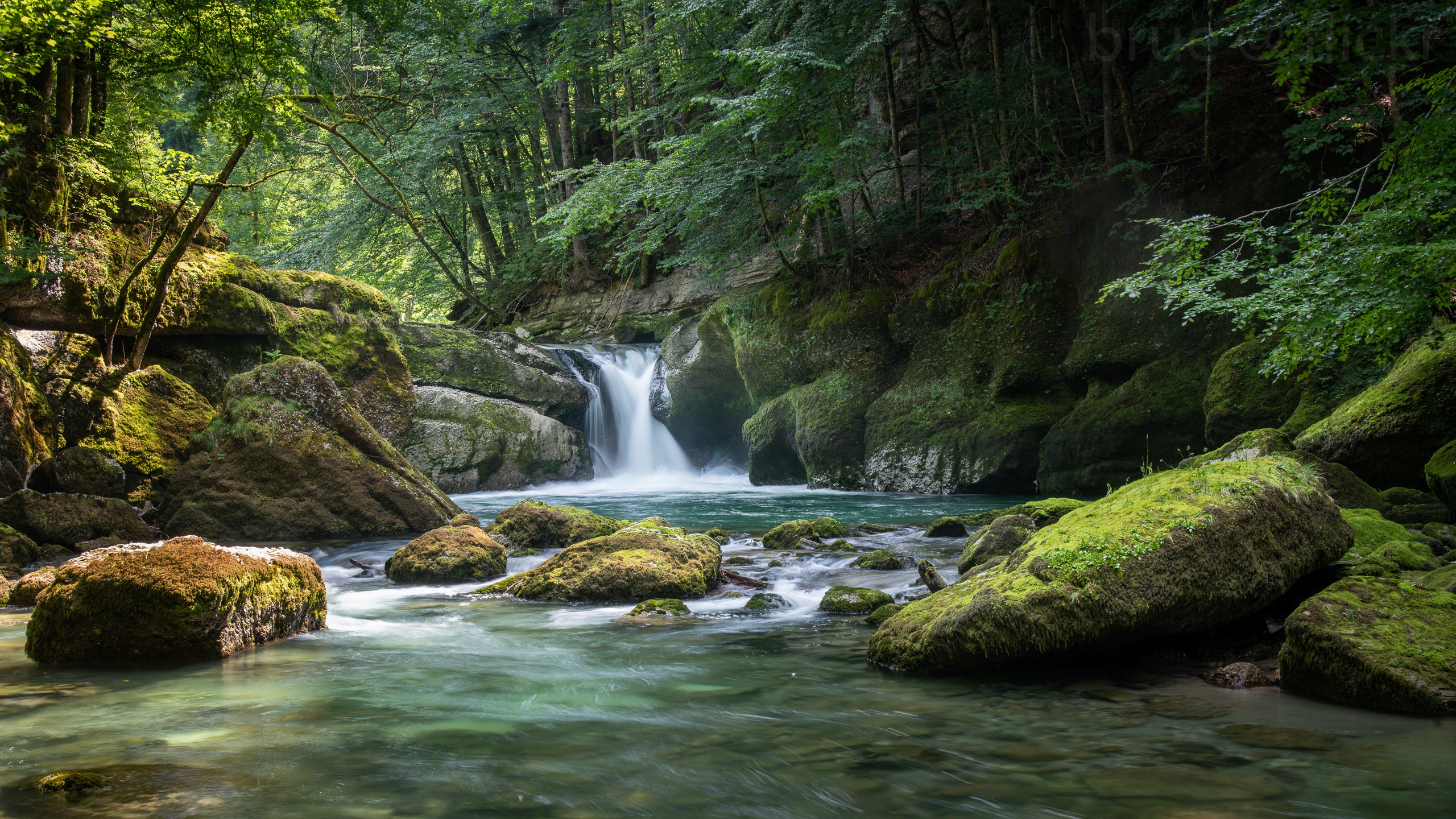 Creek. Санкт-Галлен водопад. Голубина Лесной водопад. Река наамиш водопад. Река водопада пукалку.