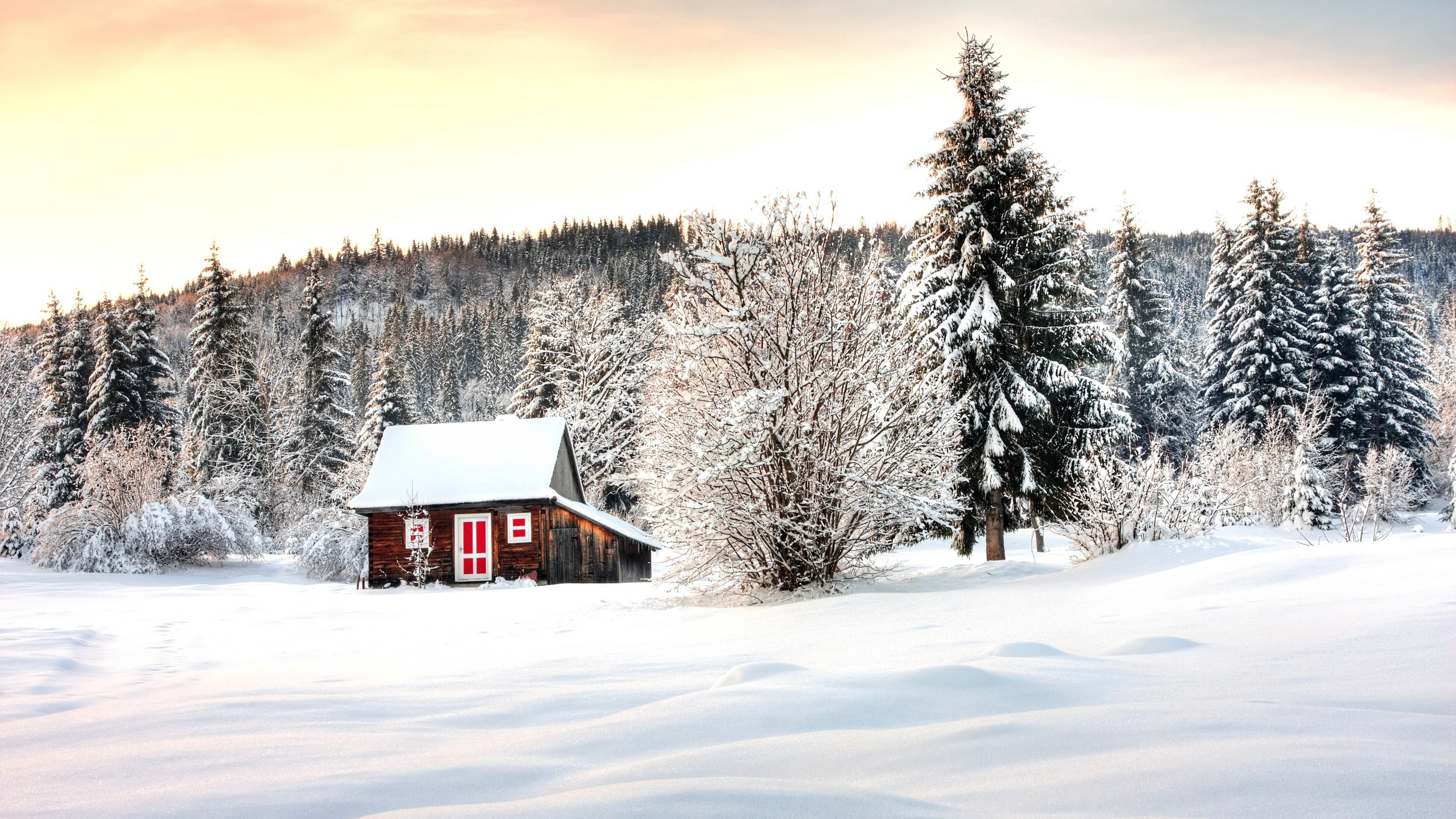 Snow wood. Зимний домик. Зимний пейзаж. Домик в зимнем лесу. Домик в лесу зимой.