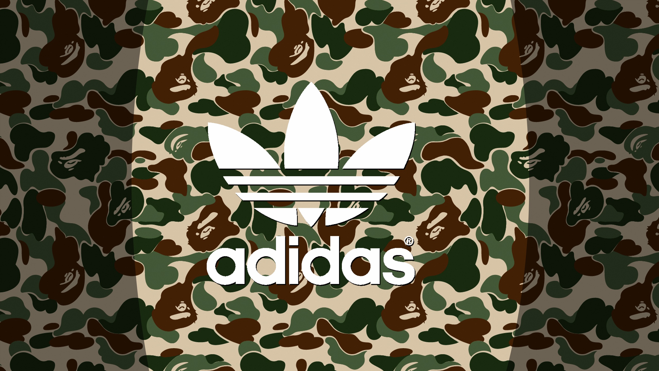 Wallpaper fashion adidas style brand hape fashion aape for mobile and desktop section resolution 2560x1440 download