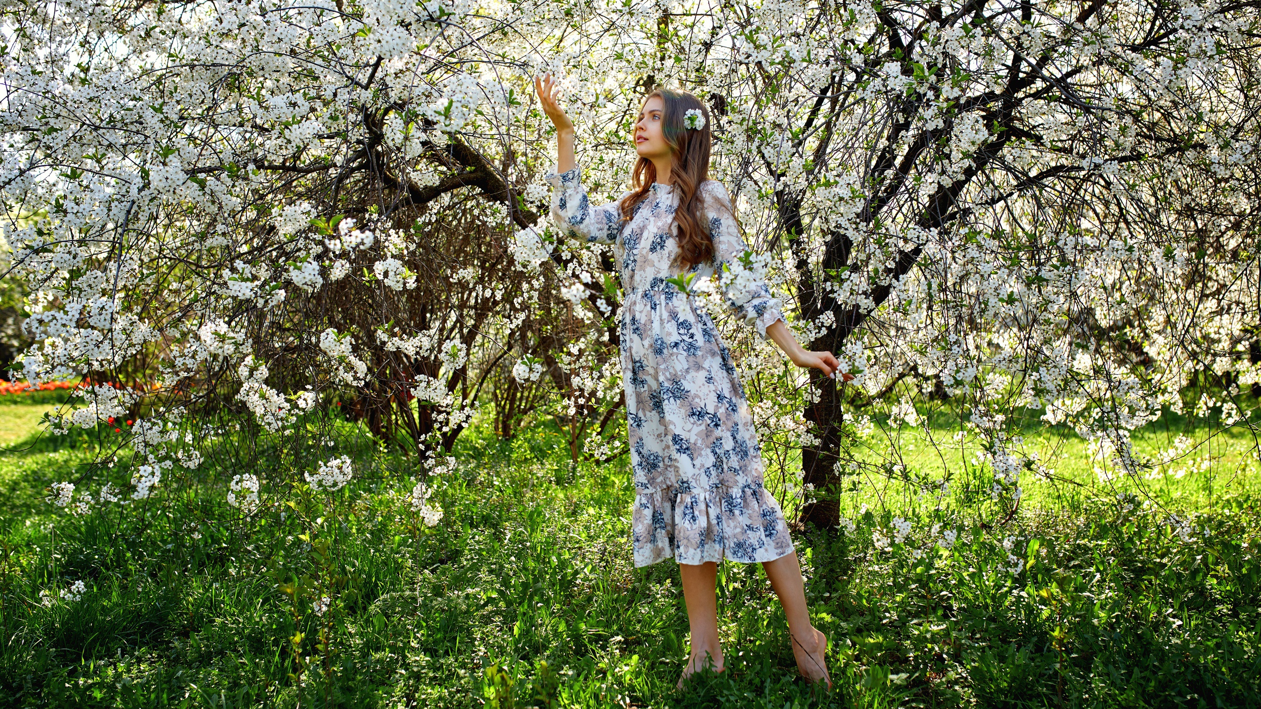 Платье цветущие сады. Фотосессия на фоне цветущих деревьев. Девушка брюнетка в цветущем саду. Девушка под цветущей яблоней. Девушка в цветущем саду картина.