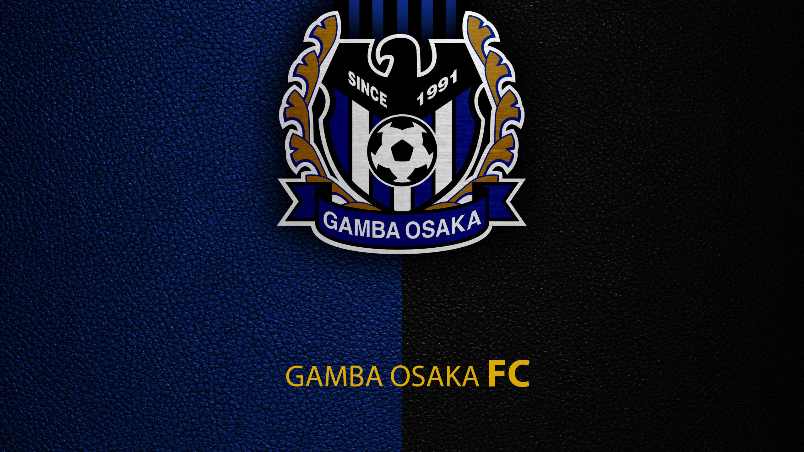 Download wallpaper wallpaper, sport, logo, football, Gamba Osaka ...