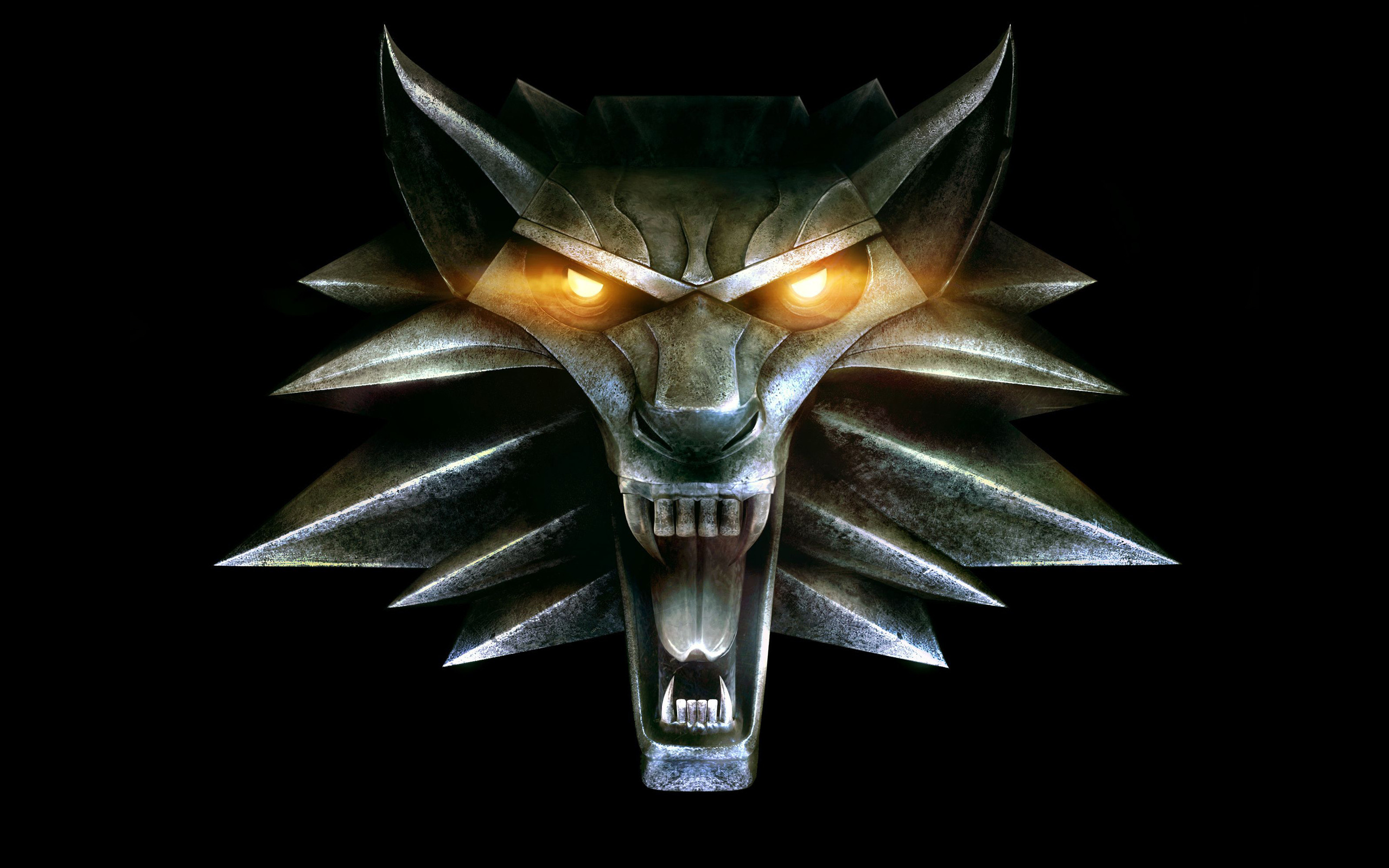 Wallpaper eyes, anger, The Witcher 2, The WITCHER for mobile and desktop,  section игры, resolution 2560x1600 - download