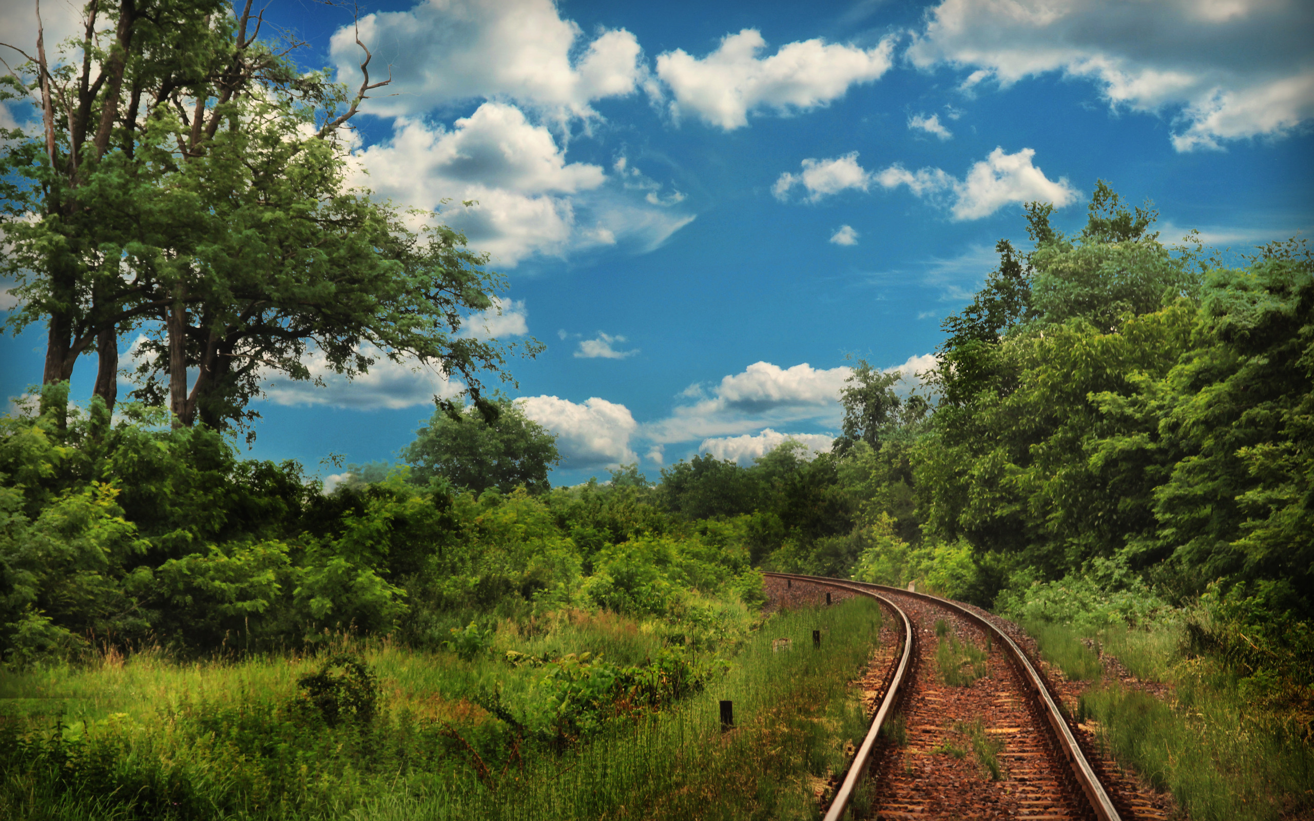 железная дорога пейзаж. поезд рельсы. железная дорога летом. однопутный участок железной дороги. рельсы.