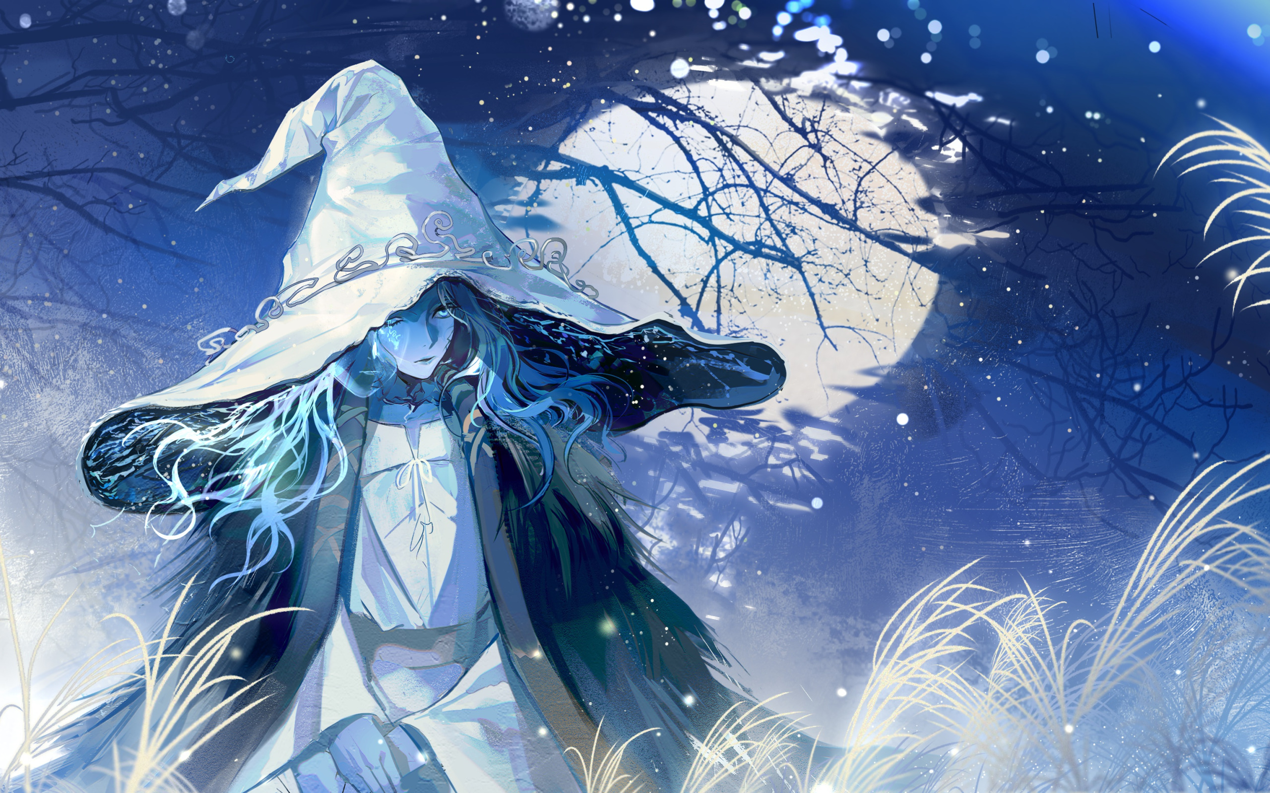 Download wallpaper water, girl, night, the moon, Elden Ring, Ranni The  Witch, section games in resolution 2560x1600