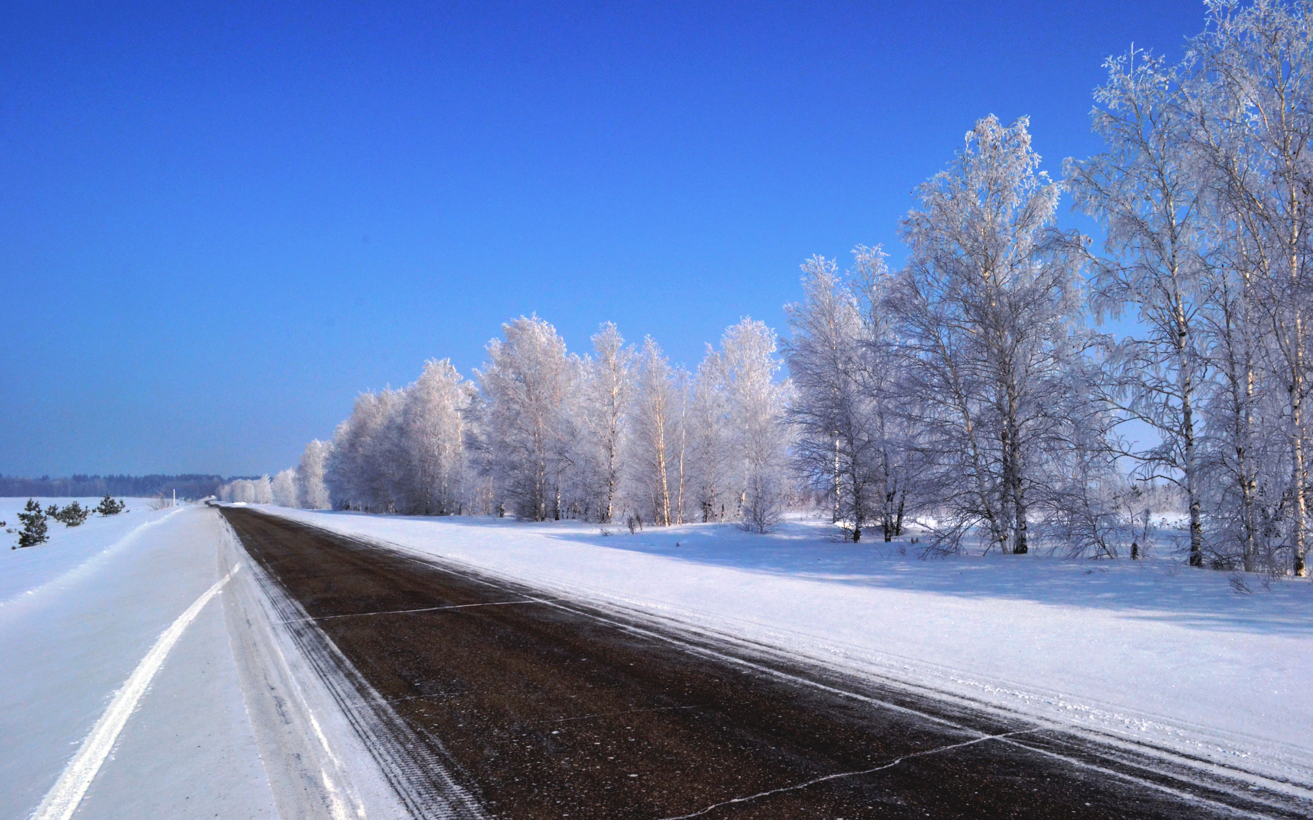 Winter road. Зимняя дорога. Трасса зима. Дорога зимой. Дорога трасса зима.