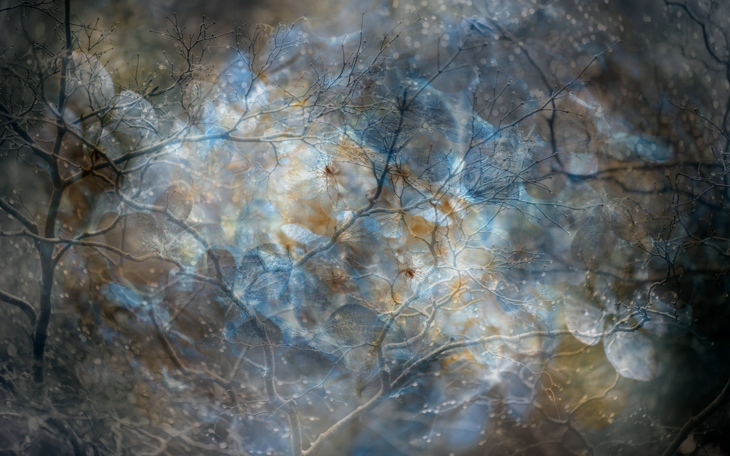 Download wallpaper background, color, texture, section textures in ...