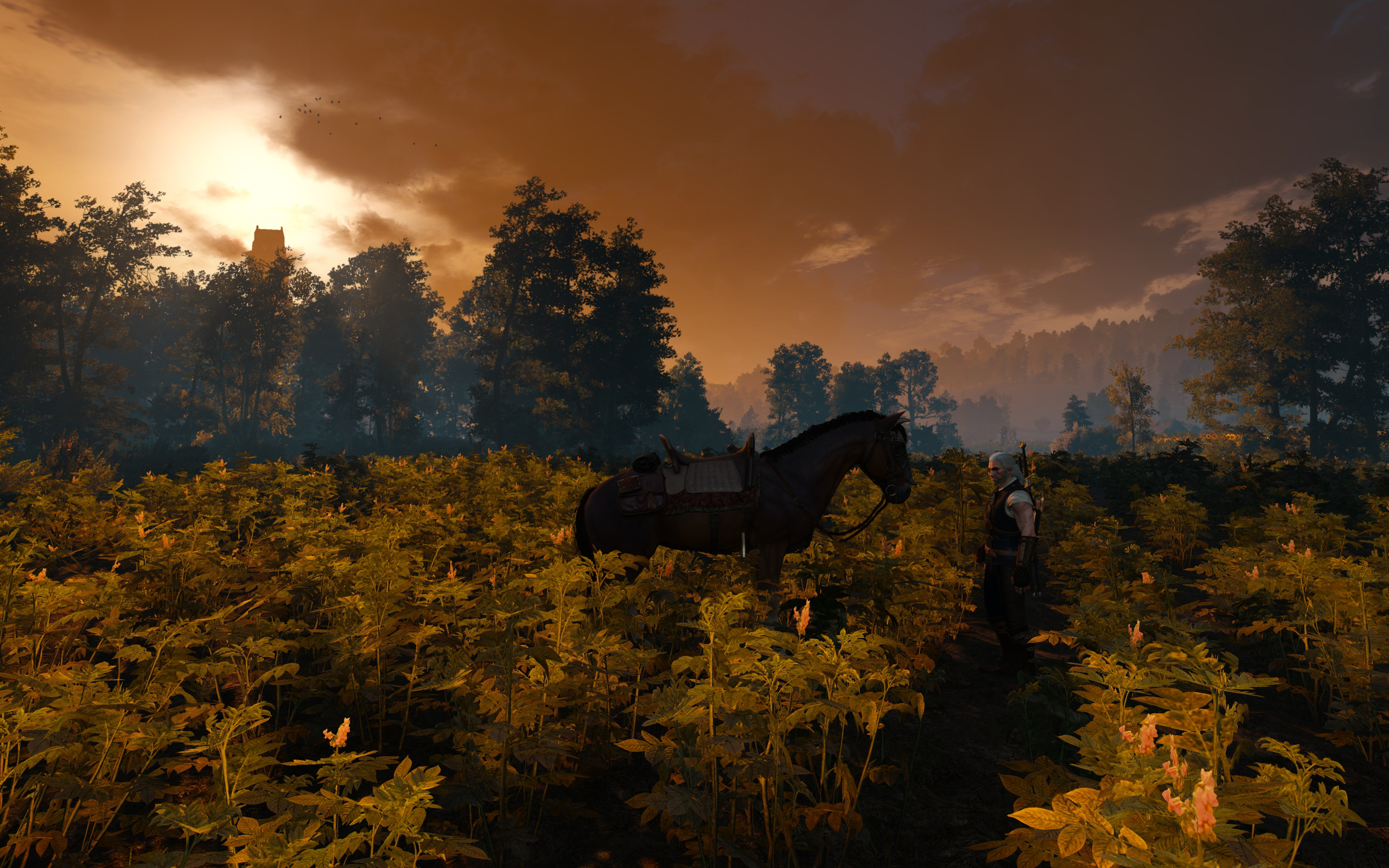 The witcher 3 geralt horse фото 61
