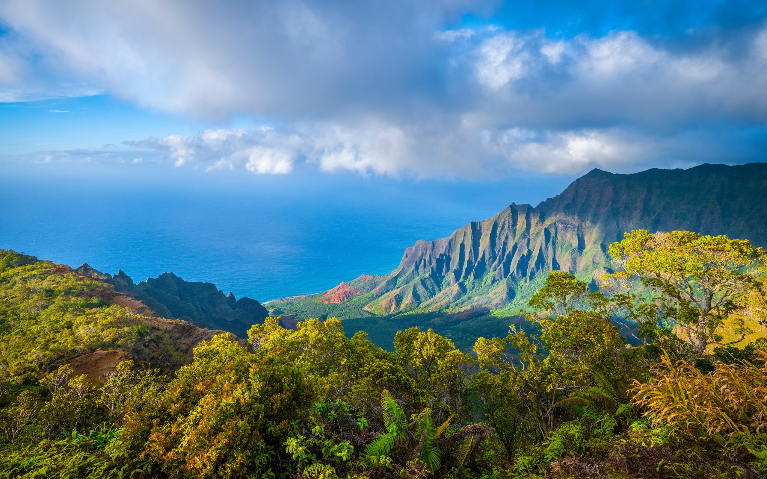 Download wallpaper Clouds, Hawaii, Mountains, Kalalau, Lookout, section ...