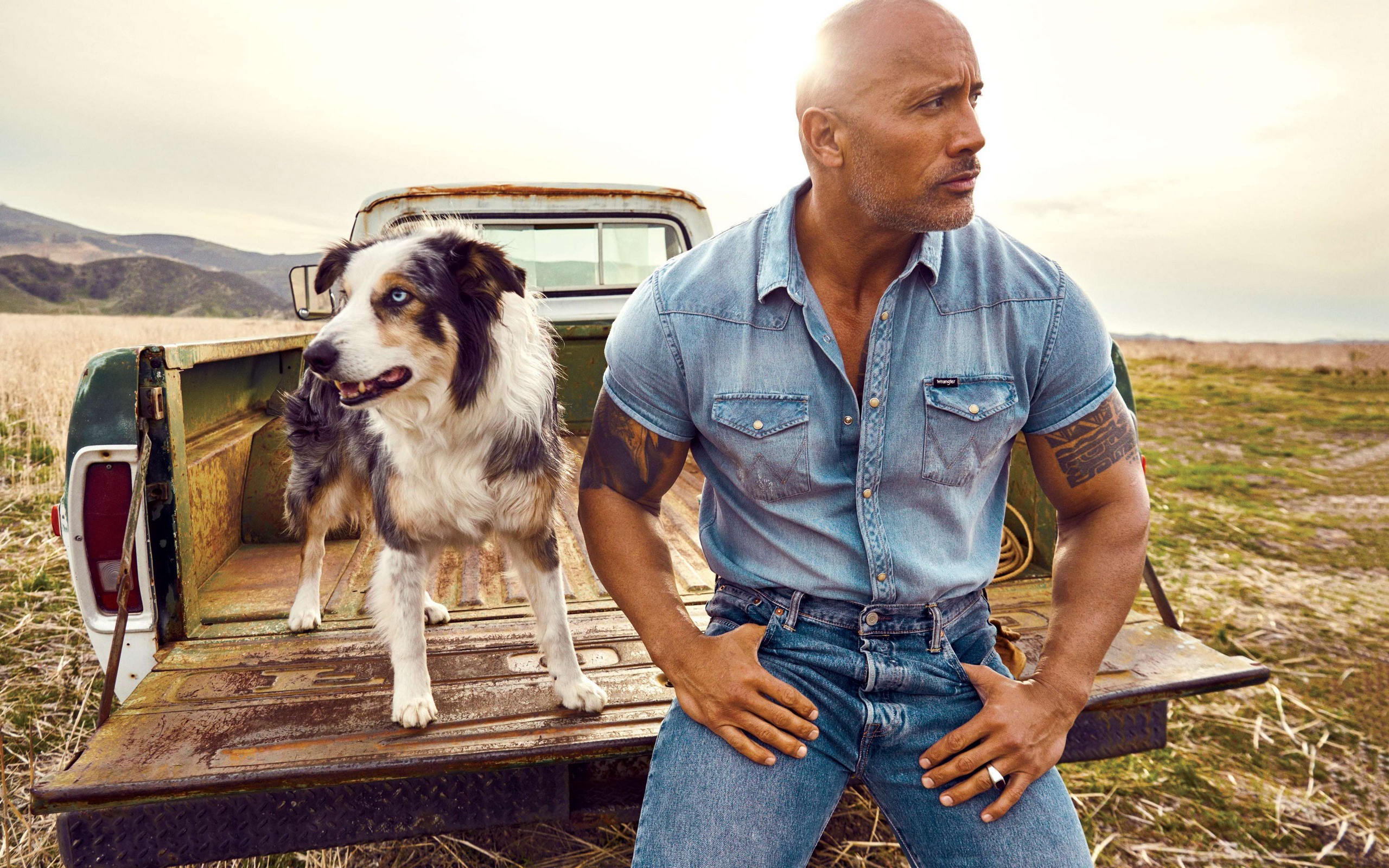 Dwayne fashion johnson dog