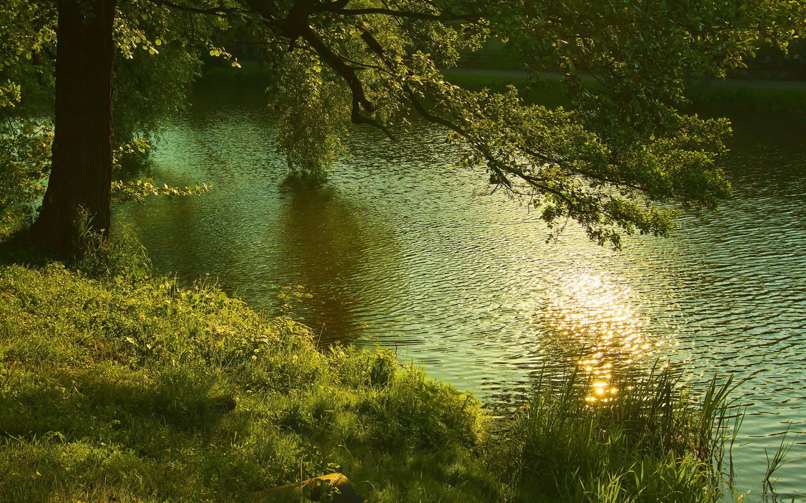Обои на телефон река. Летняя природа. Речной пейзаж. Лето речка. Природа лес озеро.