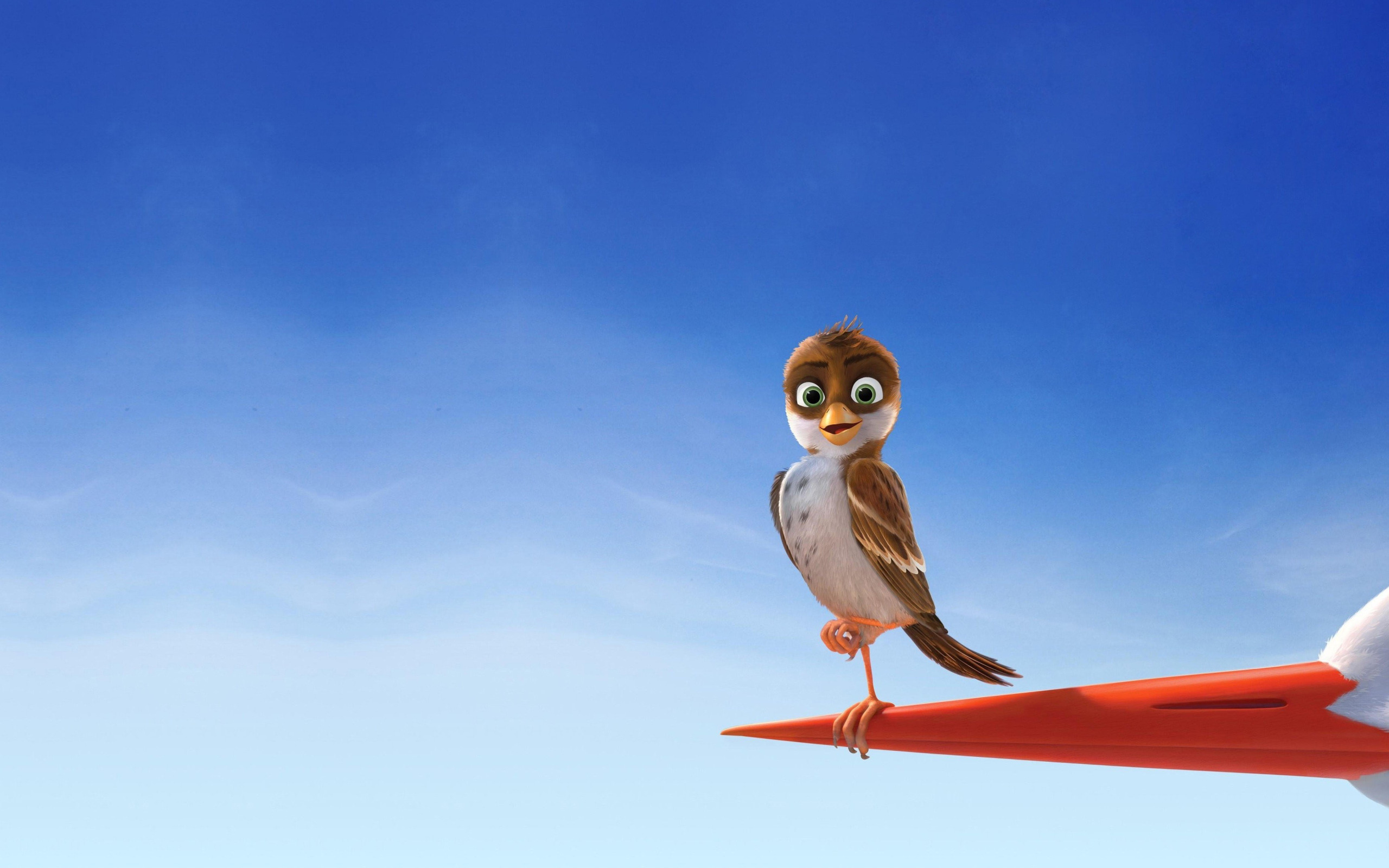 Download wallpaper cinema, sky, bird, movie, Richard, film, Storks, section  films in resolution 2560x1600