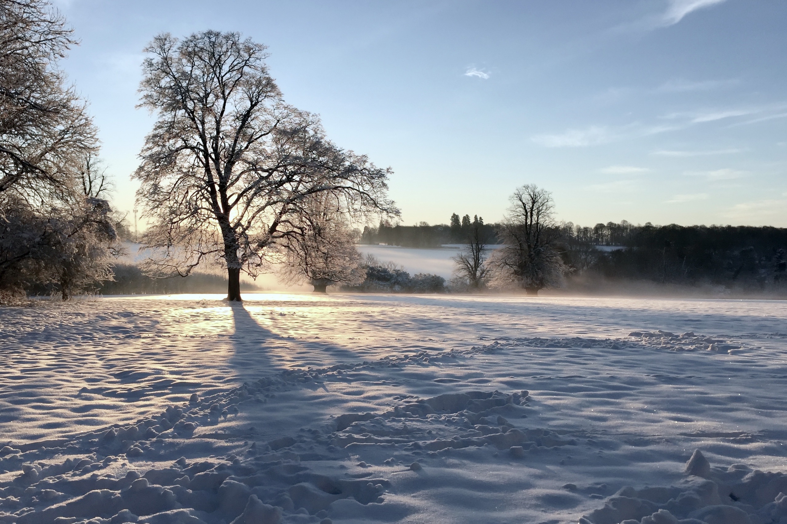 Cold winter. Зима стужа. Утро с зимней стужей. Зима реальная. Зима холода утро.