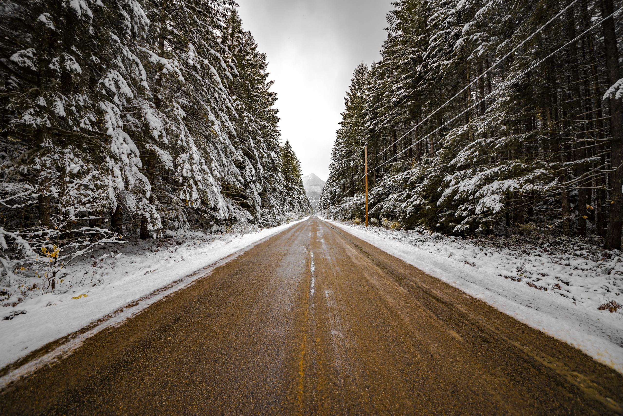Тема зимней дороги. Зима дорога. Заснеженная дорога в лесу. Зимняя дорога в лесу. Зимняя трасса.