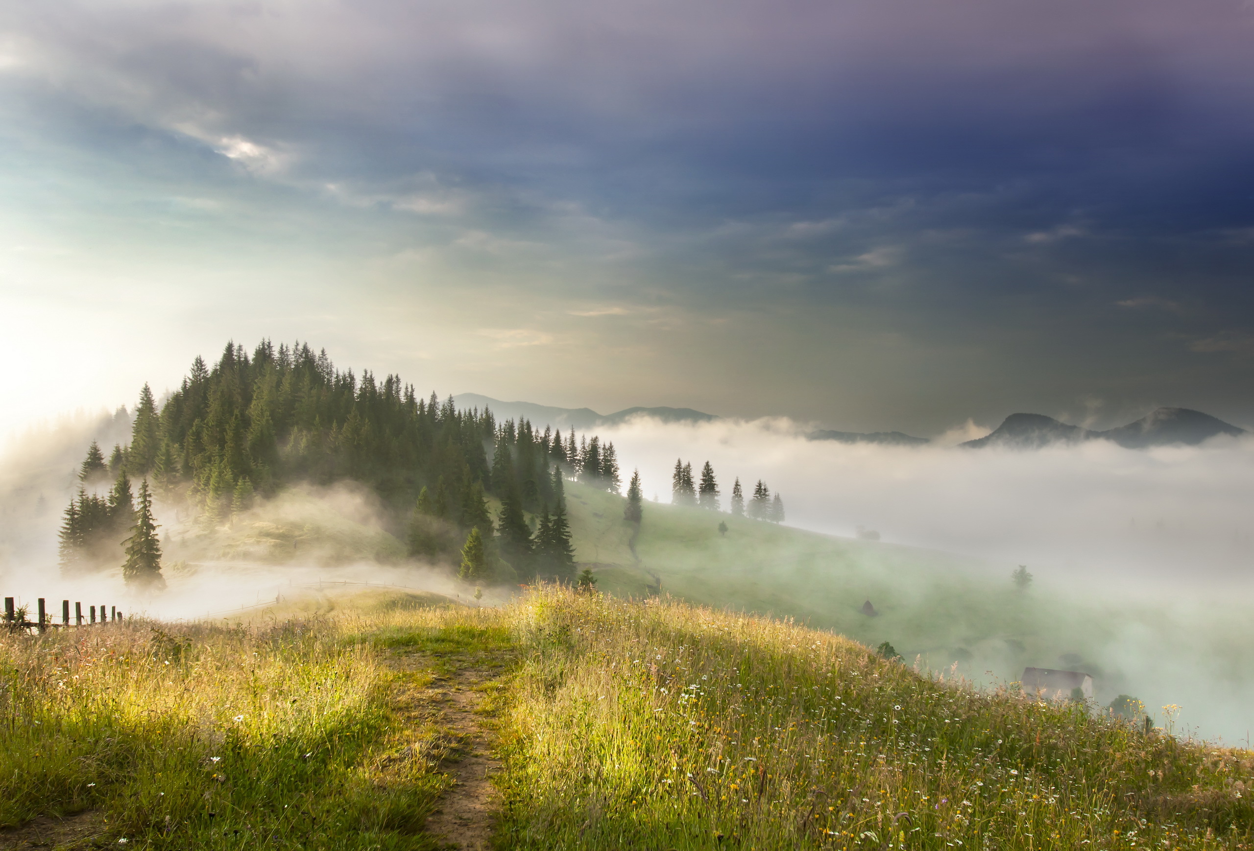 Пейзаж в тумане