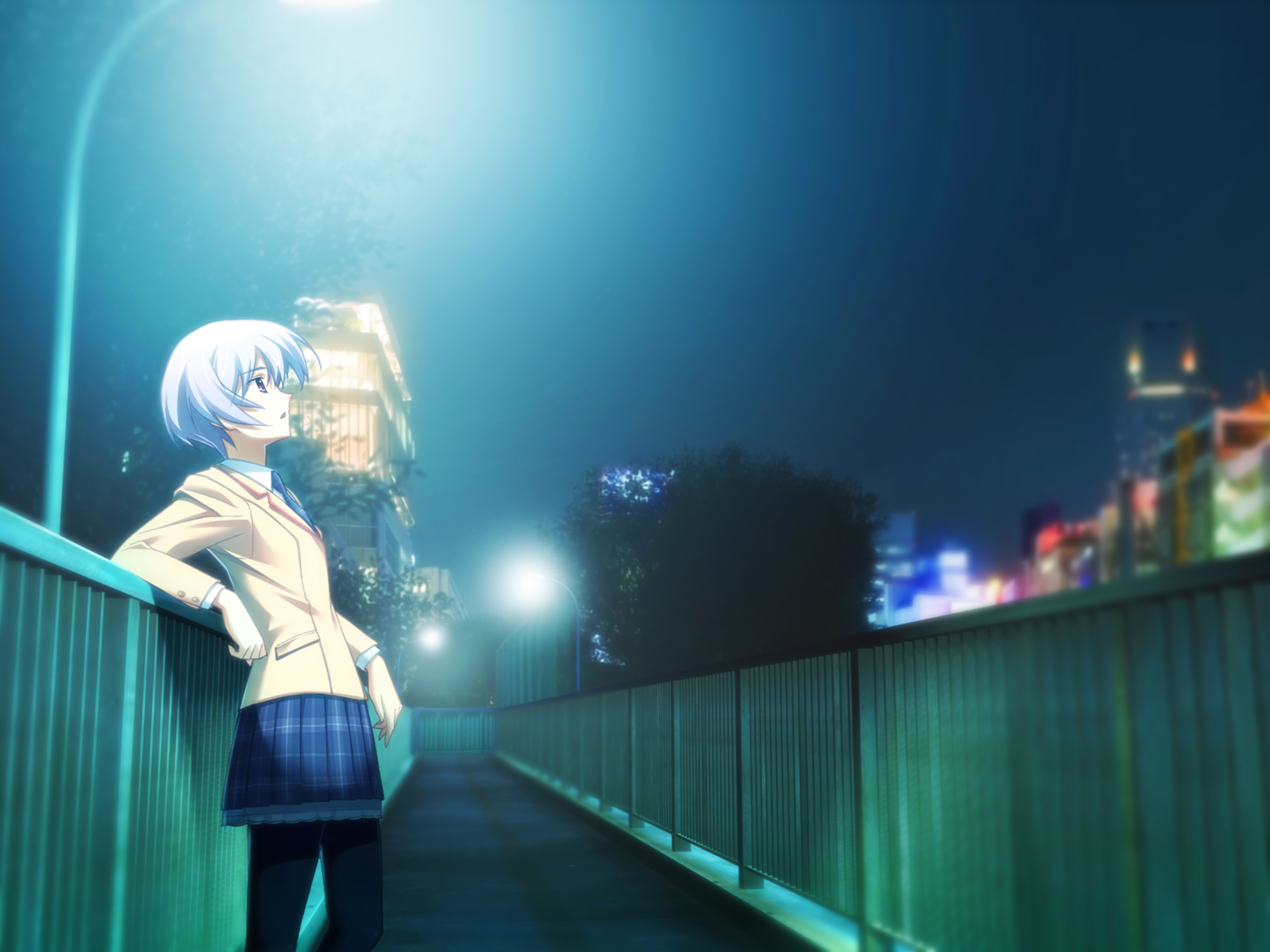 Download Wallpaper Girl, Bridge, The City, Lights, Home, Anime.