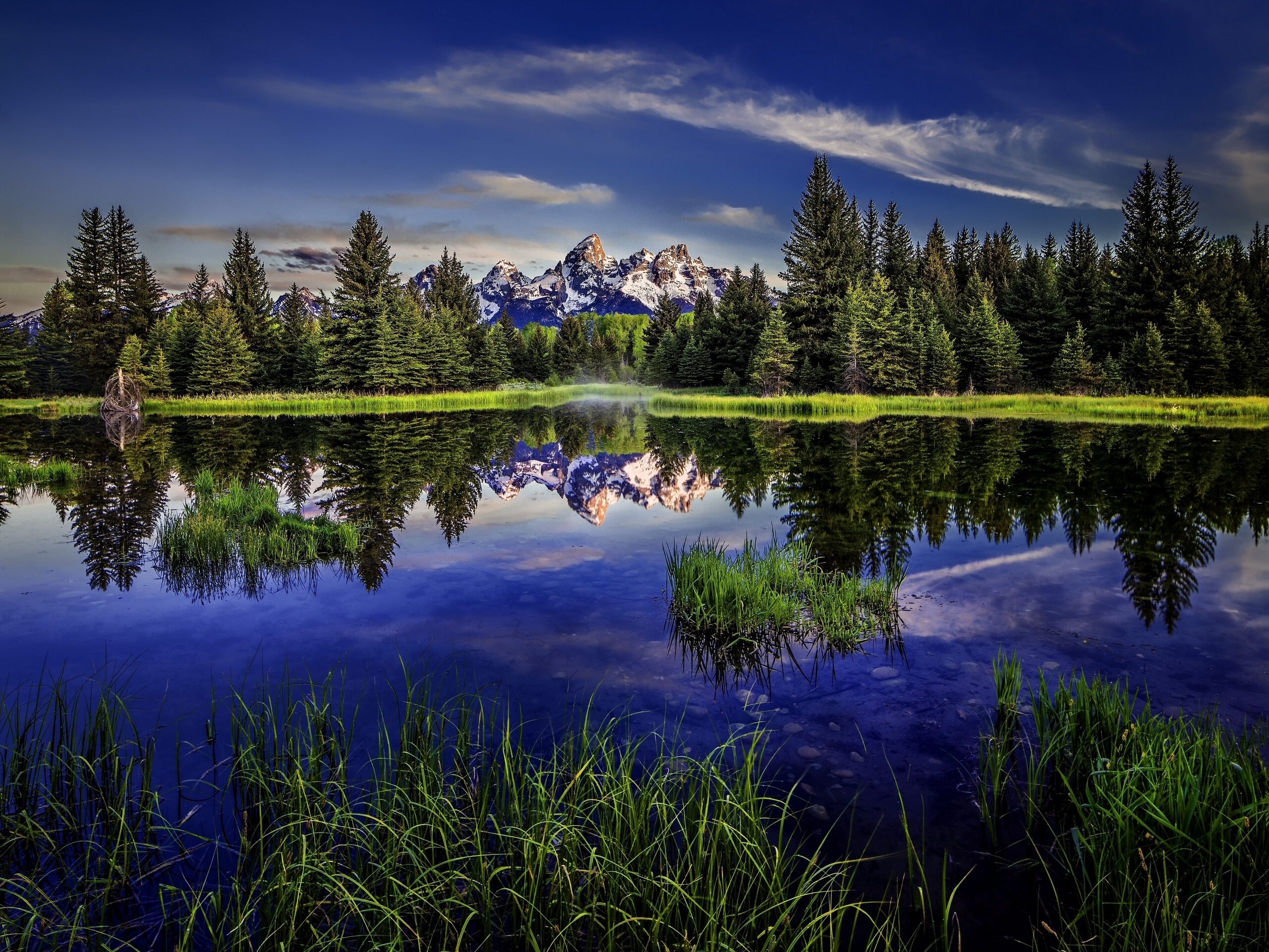 Apr 26, 2025 - #wyoming# nationalparks# nature #elk# mountain# jacksonhole