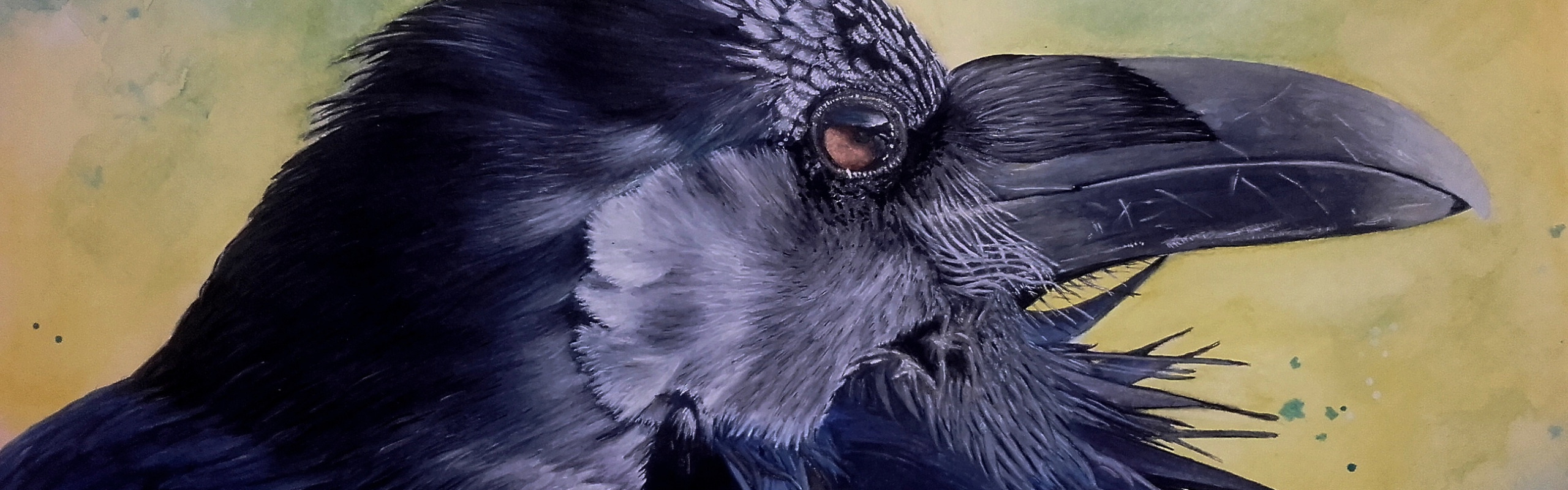 Download wallpaper bird, beak, Raven, section painting in resolution ...