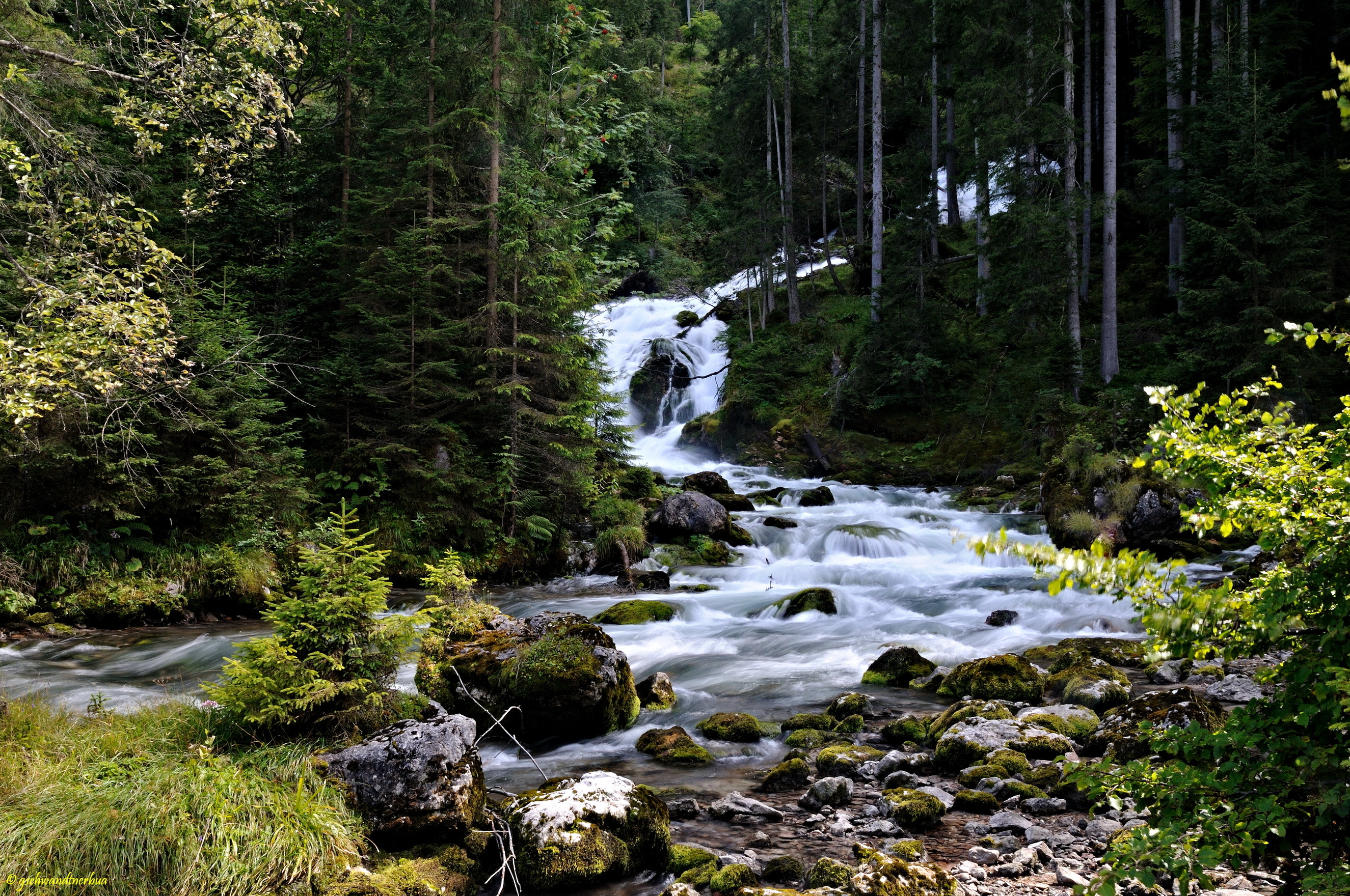 Звук ручья в лесу. Горный ручей Норвегия. Берген лес ручей. Хвойная Тайга ручей. Лесной ручей речушка.