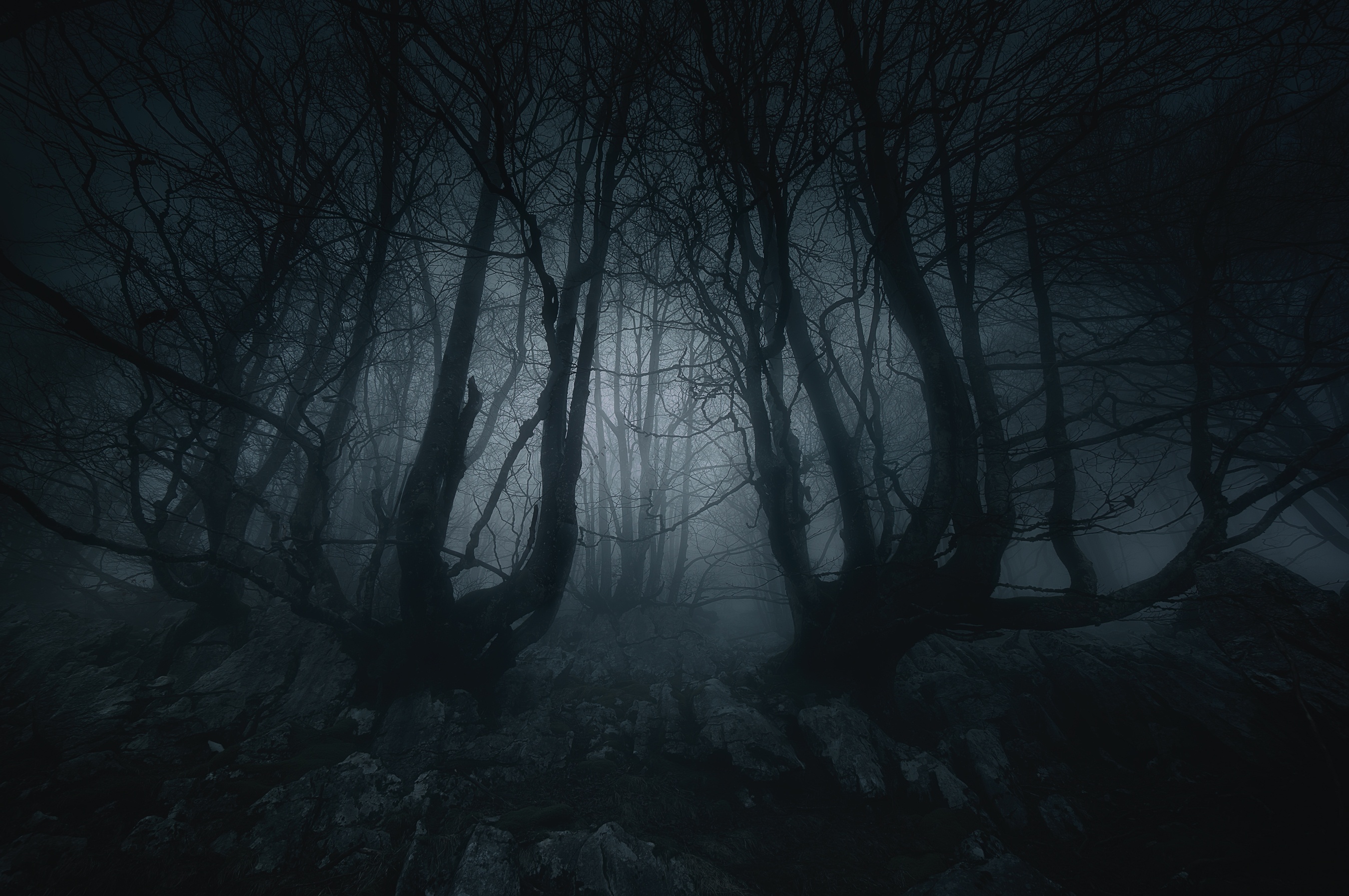 Зов лесного кошмара. Темный лес с призраками зелеными. Nightmare в лесу.