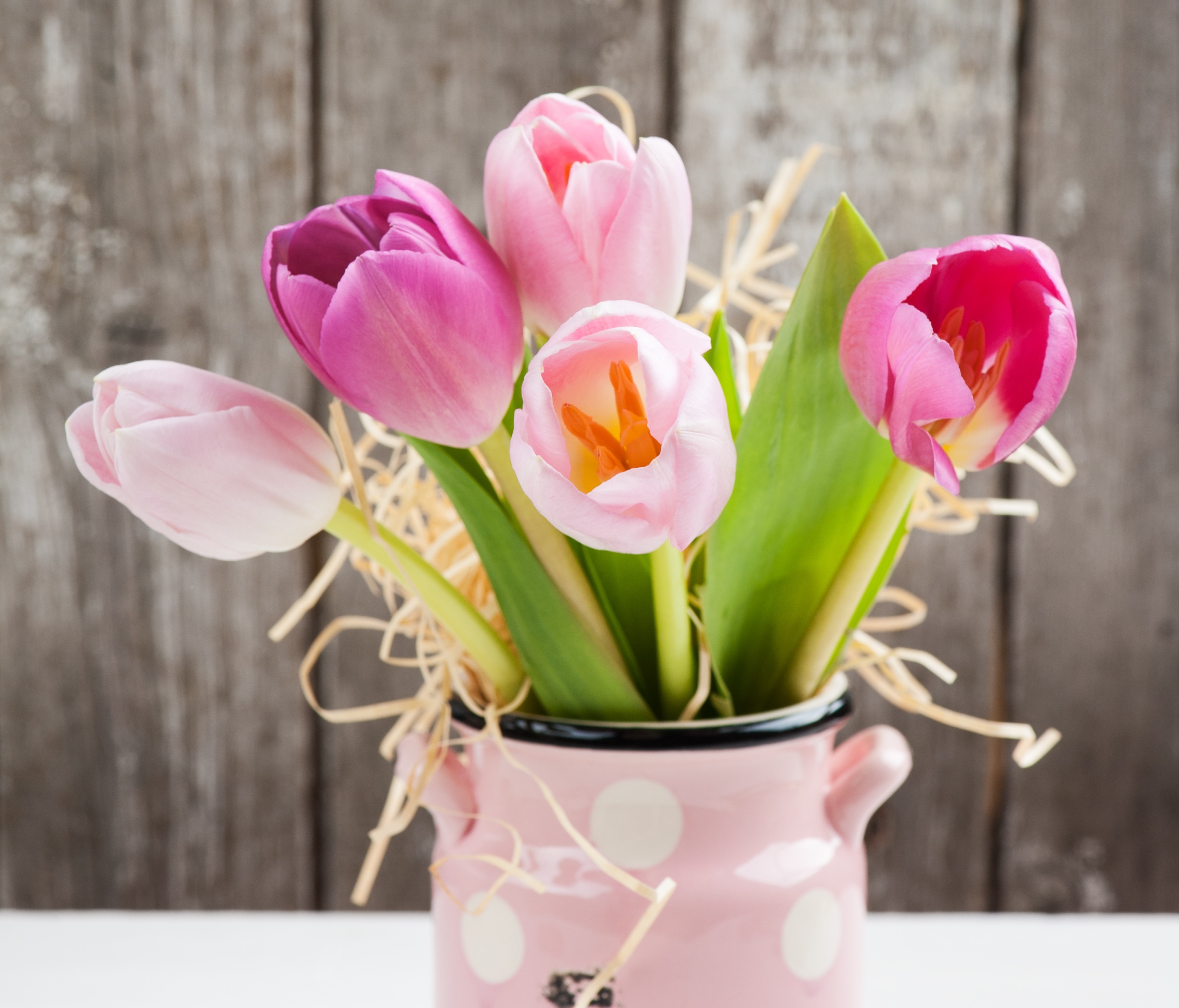 весенние цветы тюльпаны. 21 тюльпан микс. весенние тюльпаны. Beloe tyulpanu. Beloe tyulpanu.