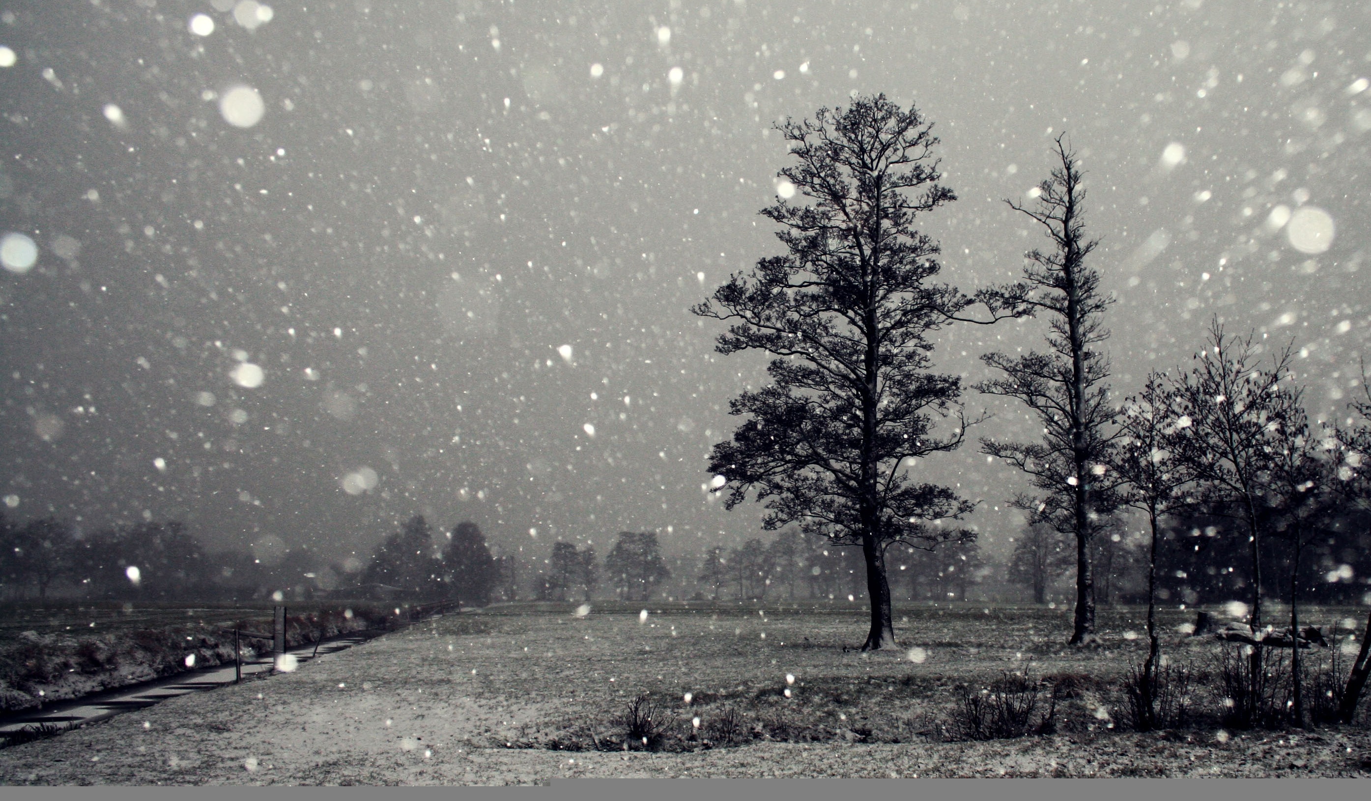 Черные снежки. Снегопад. Падающий снег. Снег идет. Черно белая зима.
