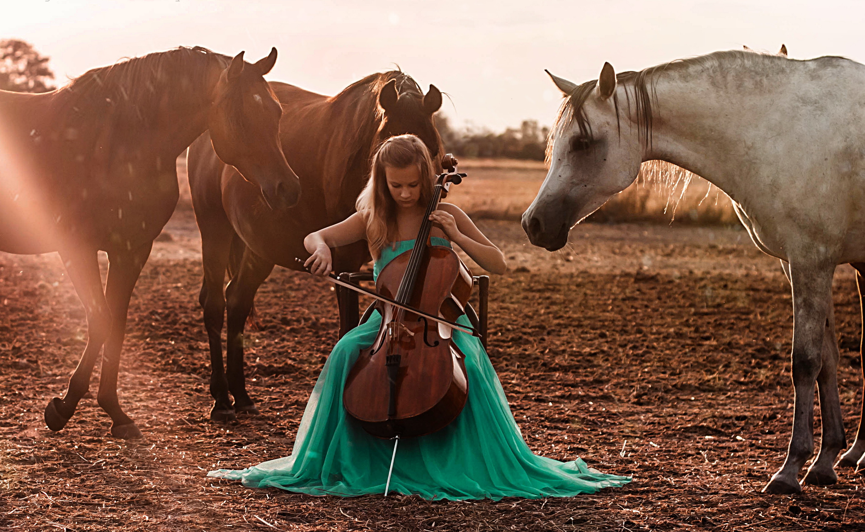 Скачут лошадки песня. Девушка с лошадью. Девушка на коне. Девочка на лошади. Красивая девушка на коне.