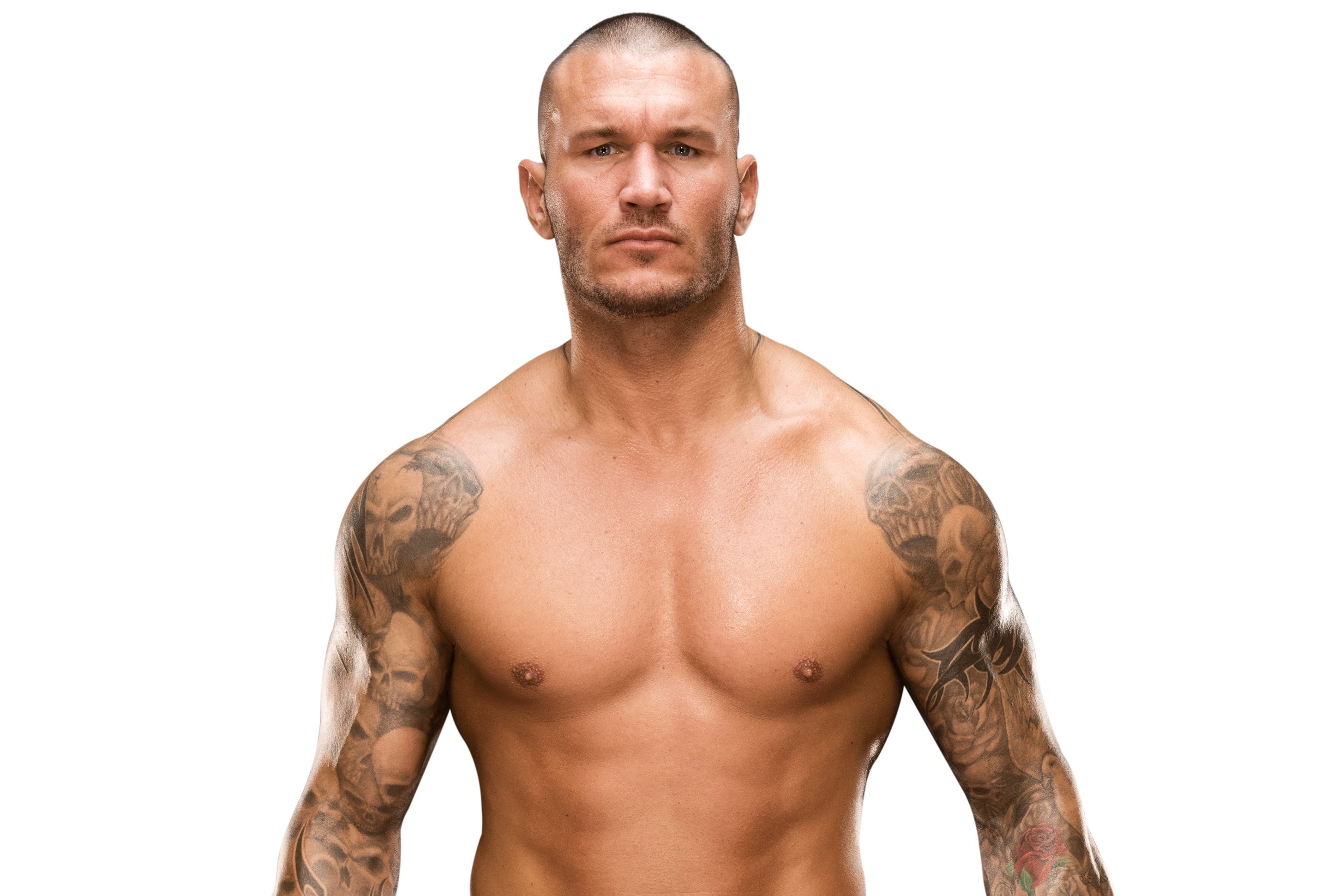 Wallpaper tattoo, snakes, tattoo, muscle, wrestler, WWE, Randy Orton, Randy  Orton for mobile and desktop, section мужчины, resolution 2875x1941 -  download