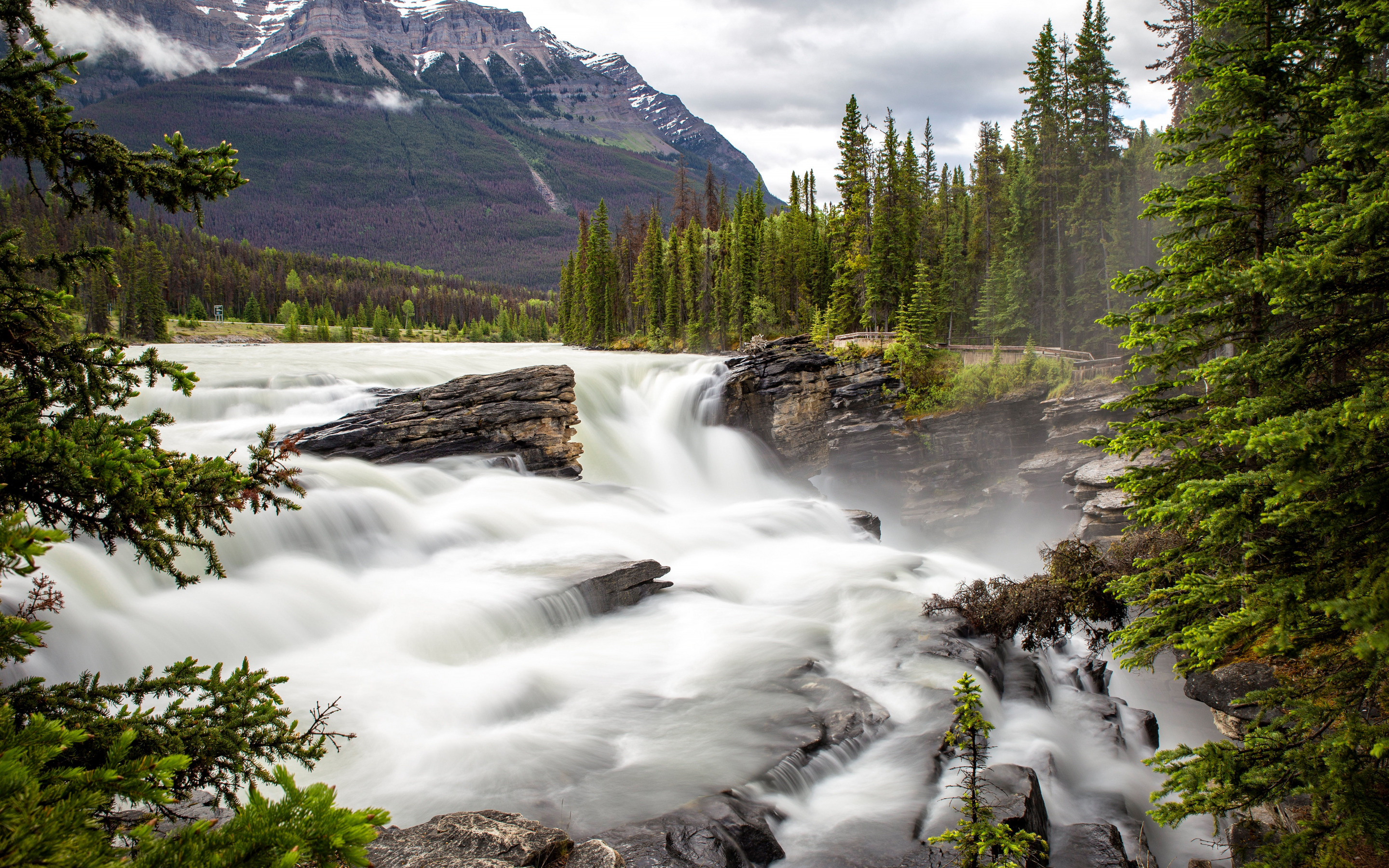 Канадская река 5. Водопад Альберте Канада. Горы скалы вода. Береговые скалы Канады. Водопад в лесу ели.